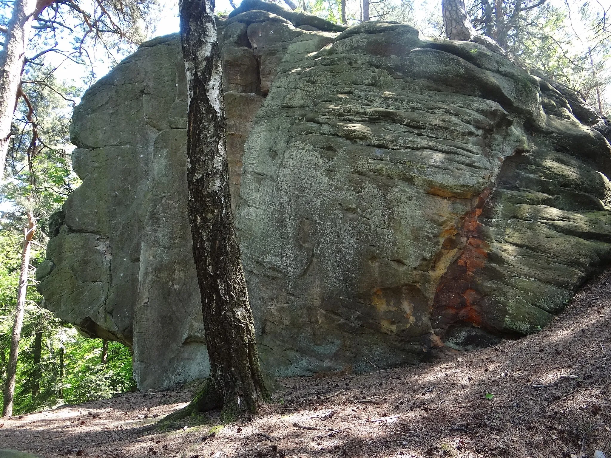 Photo showing: Skała Borówka w Żurowej