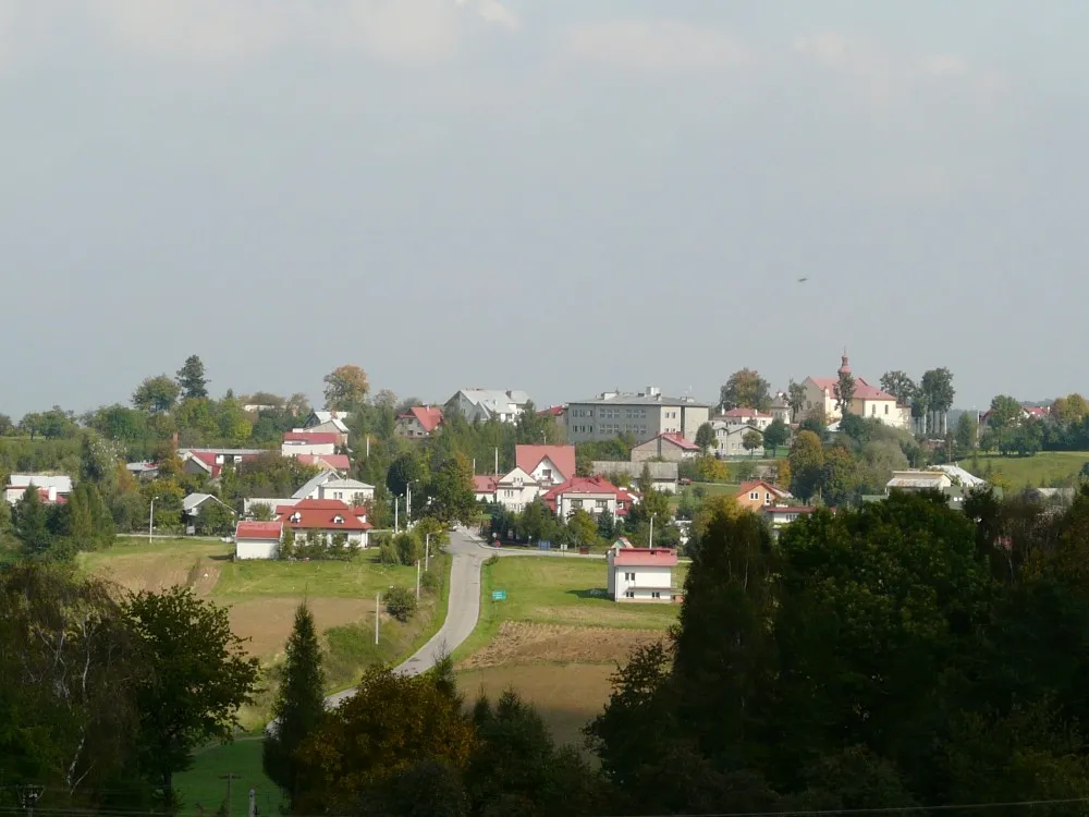 Photo showing: Skyline of Zalasowa (village in Poland); September 28, 2008