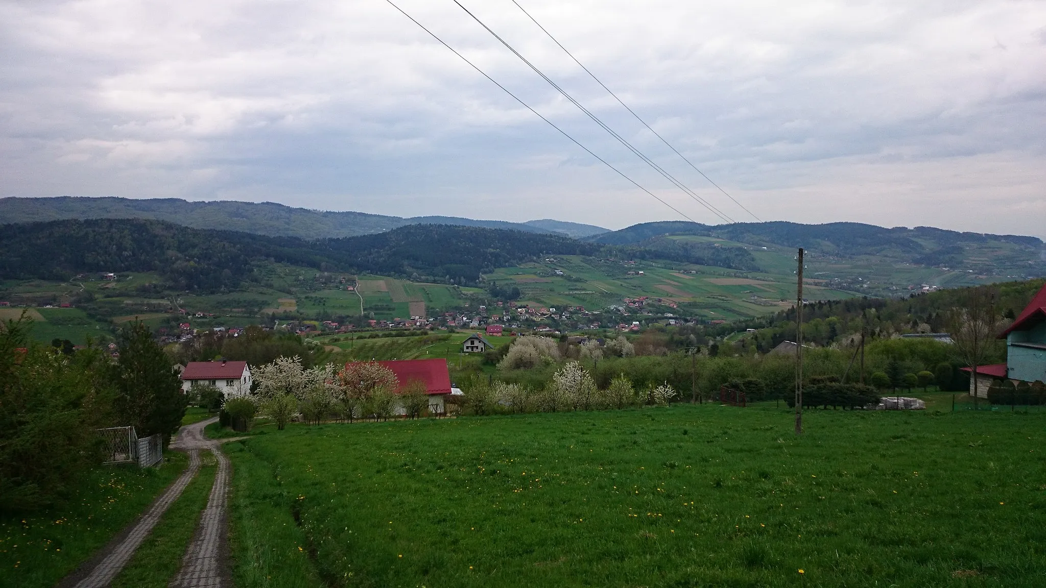 Photo showing: Widok na Zagorzyn z Byniowej.