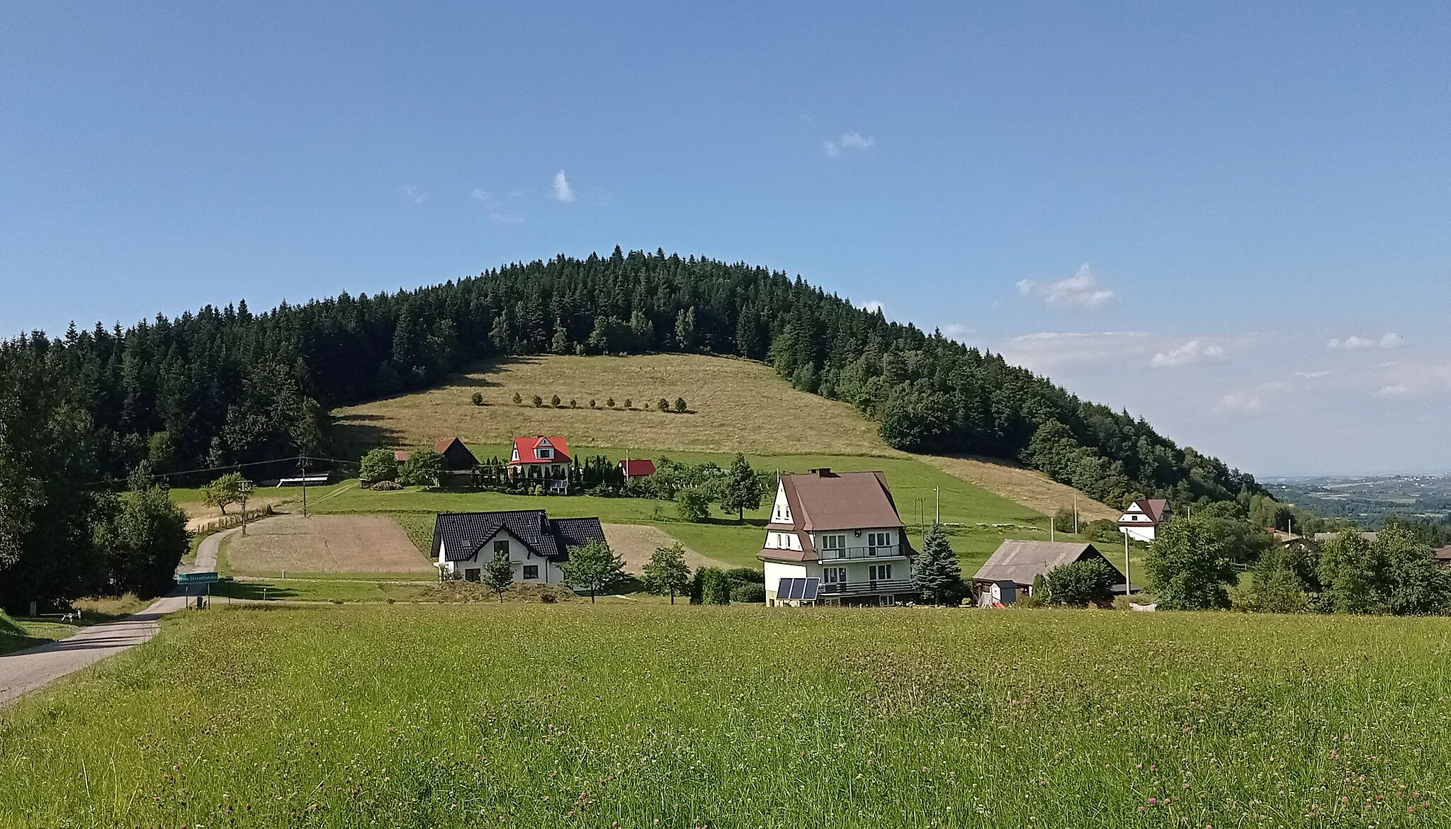 Photo showing: Wola Skrzydlańska, w tle Dzielec (650 m)