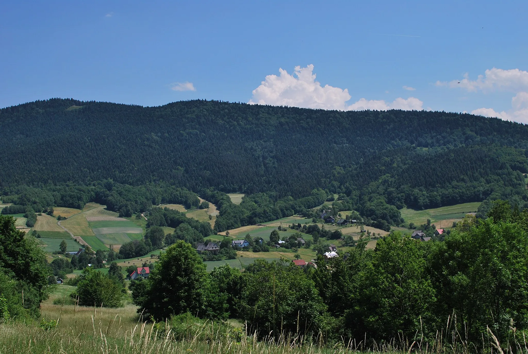 Photo showing: Wierzbanowa village (view from W), Myślenice county, Lesser Poland Voivodeship, Poland