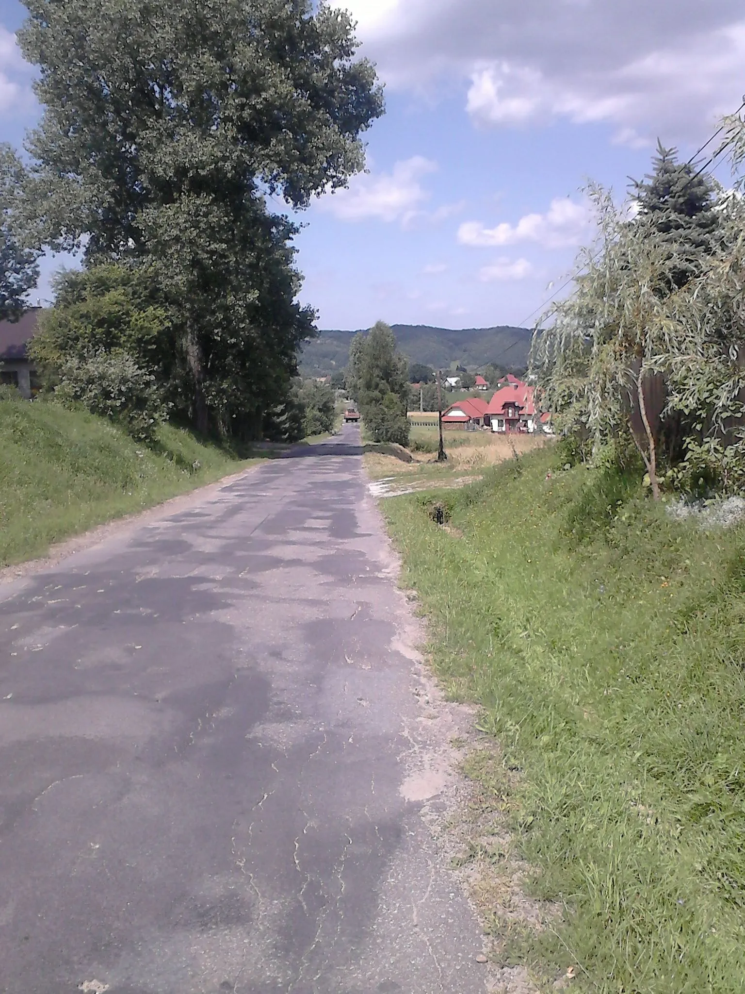 Photo showing: Droga prowadząca przez Wesołów w gminie Zakliczyn (od strony Filipowic)