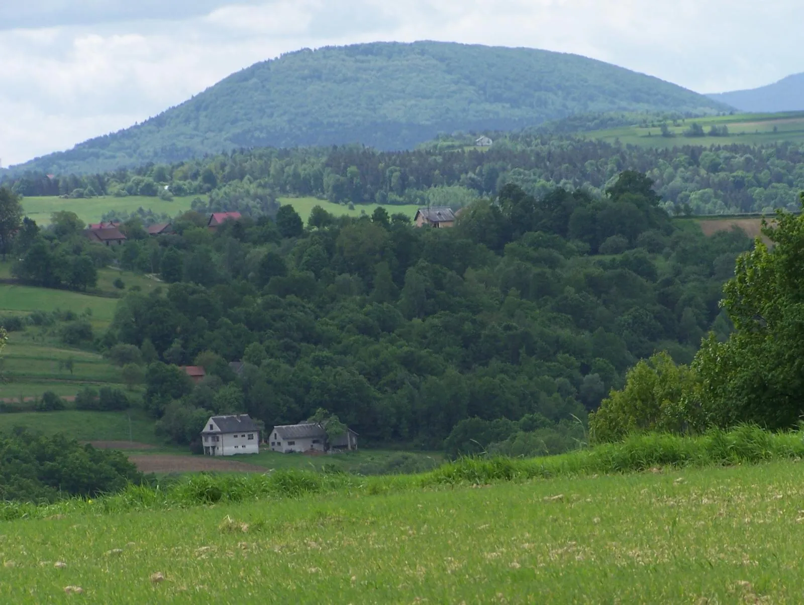 Photo showing: Trzciana - widok z Libichowej