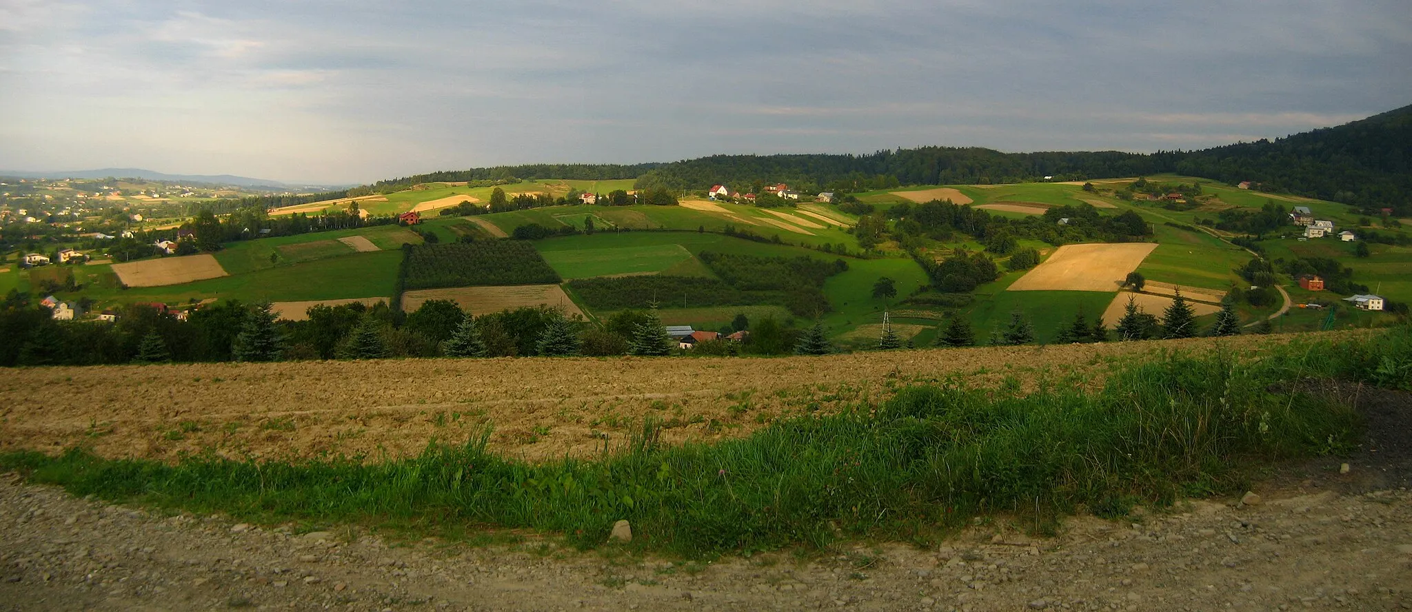 Photo showing: Bartnia Góra, Low Beskids