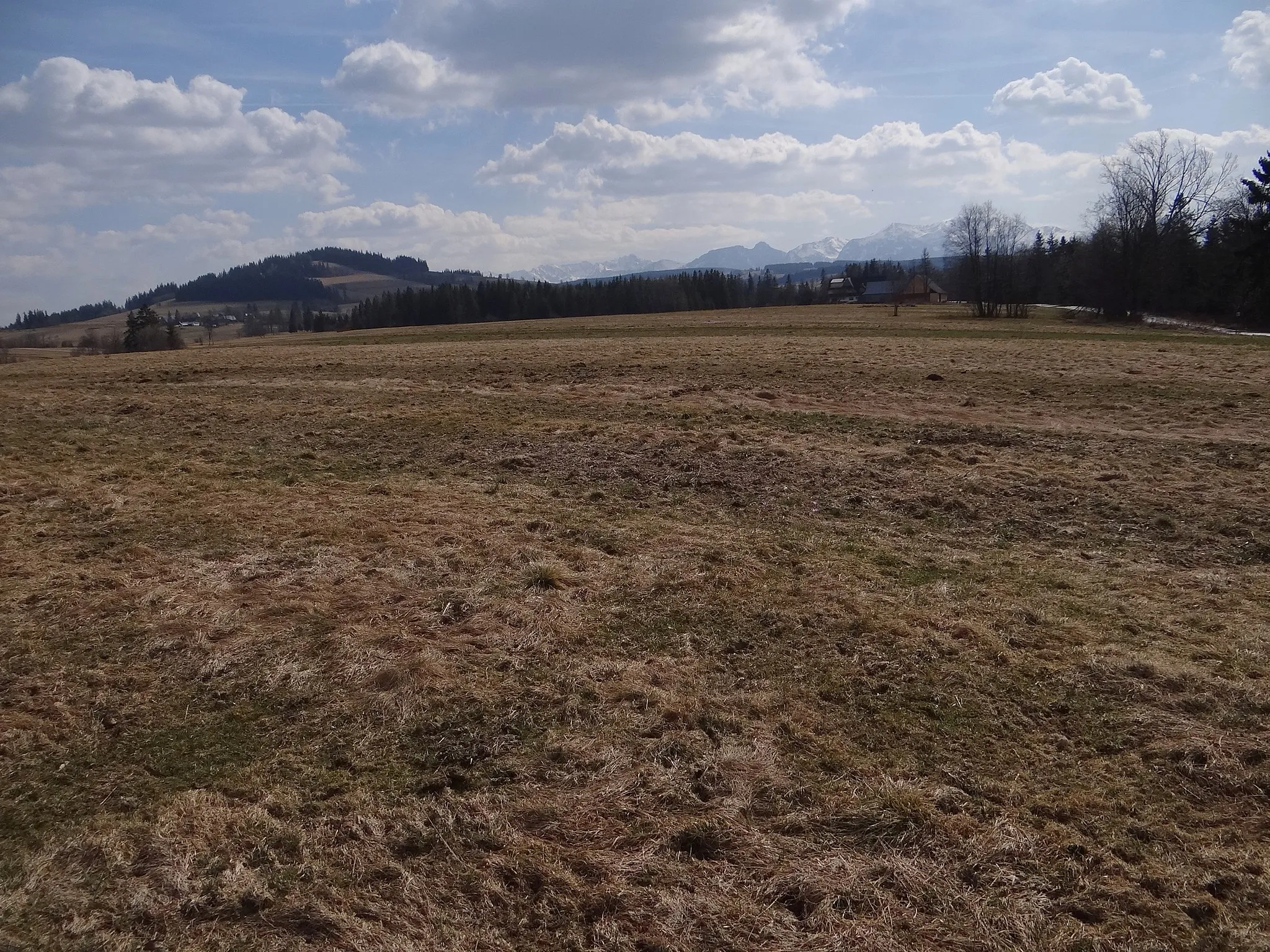 Photo showing: Dzianisz. Widok na Ostrysz i Tatry