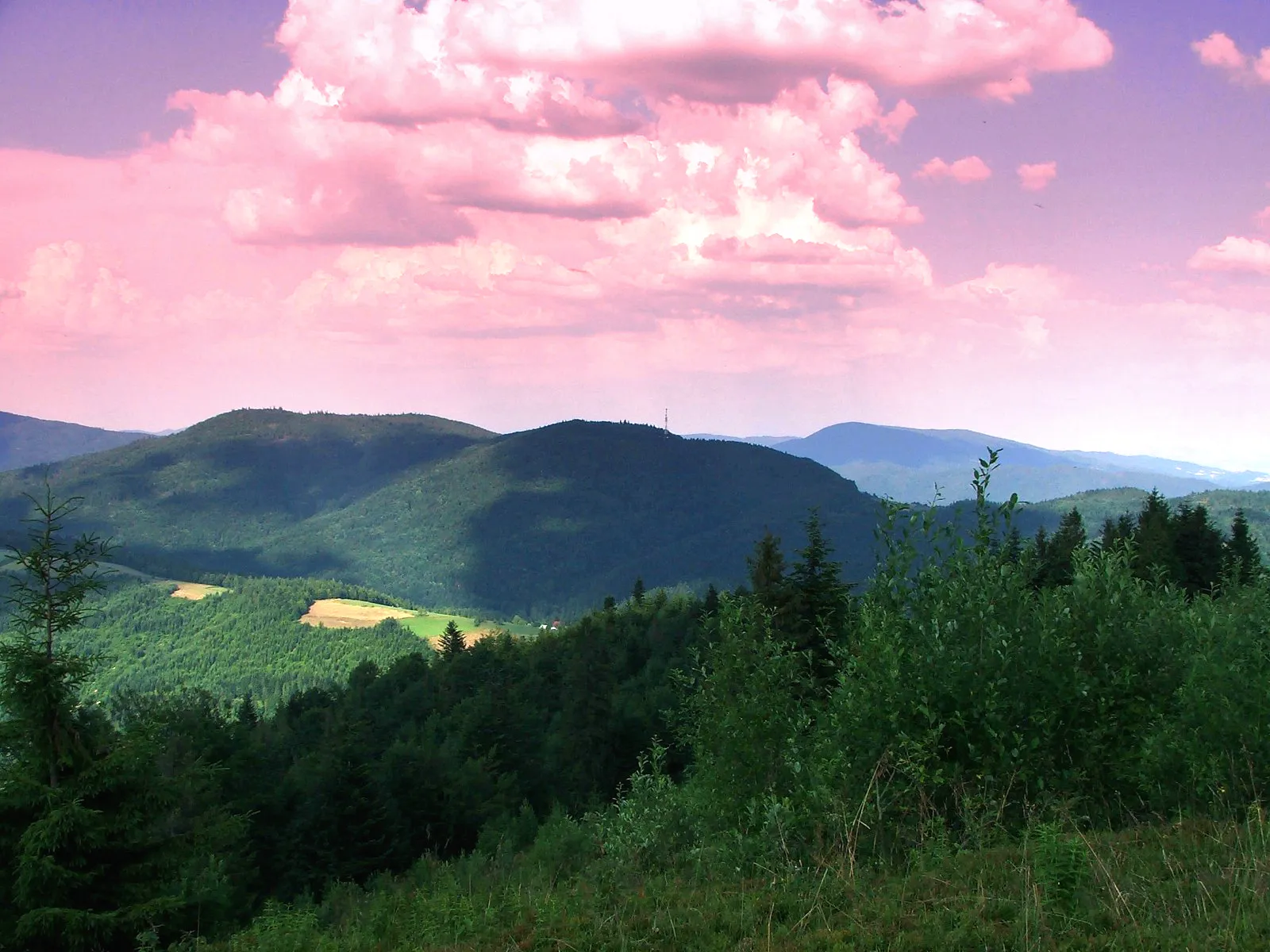 Photo showing: Gorce Mountains, Poland. View of Mount Kiczora from Mount Jaworzyna Kamienicka