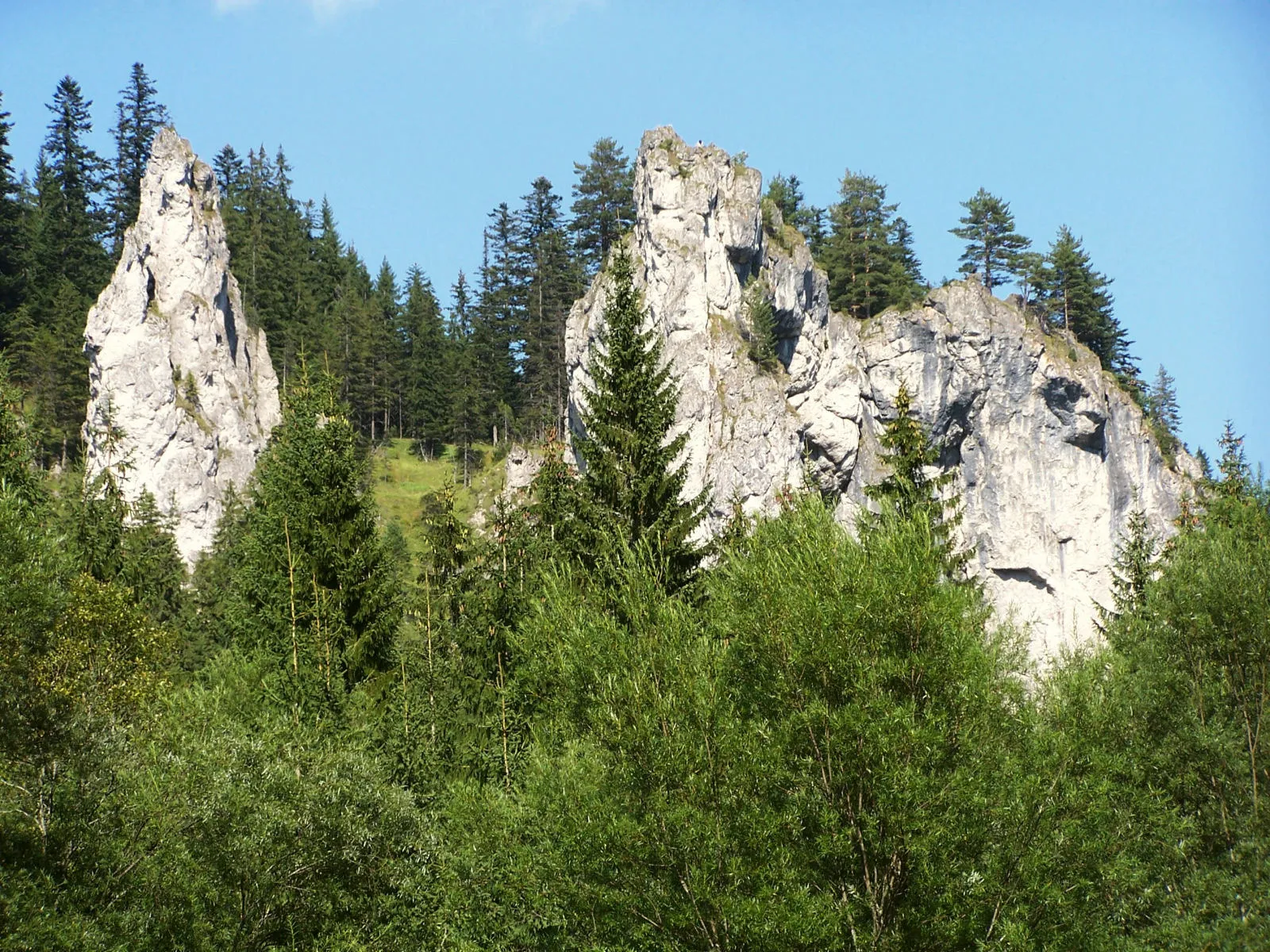 Photo showing: Siwiańskie Turnie (Dolina Chochołowska, Tatry)