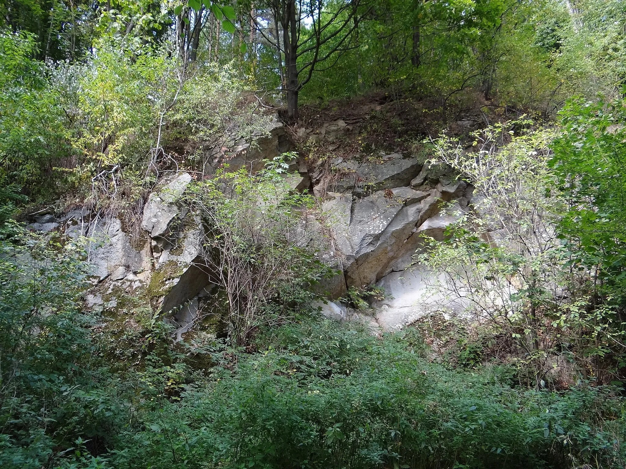 Photo showing: Kamieniołom andezytu na Bryjarce
