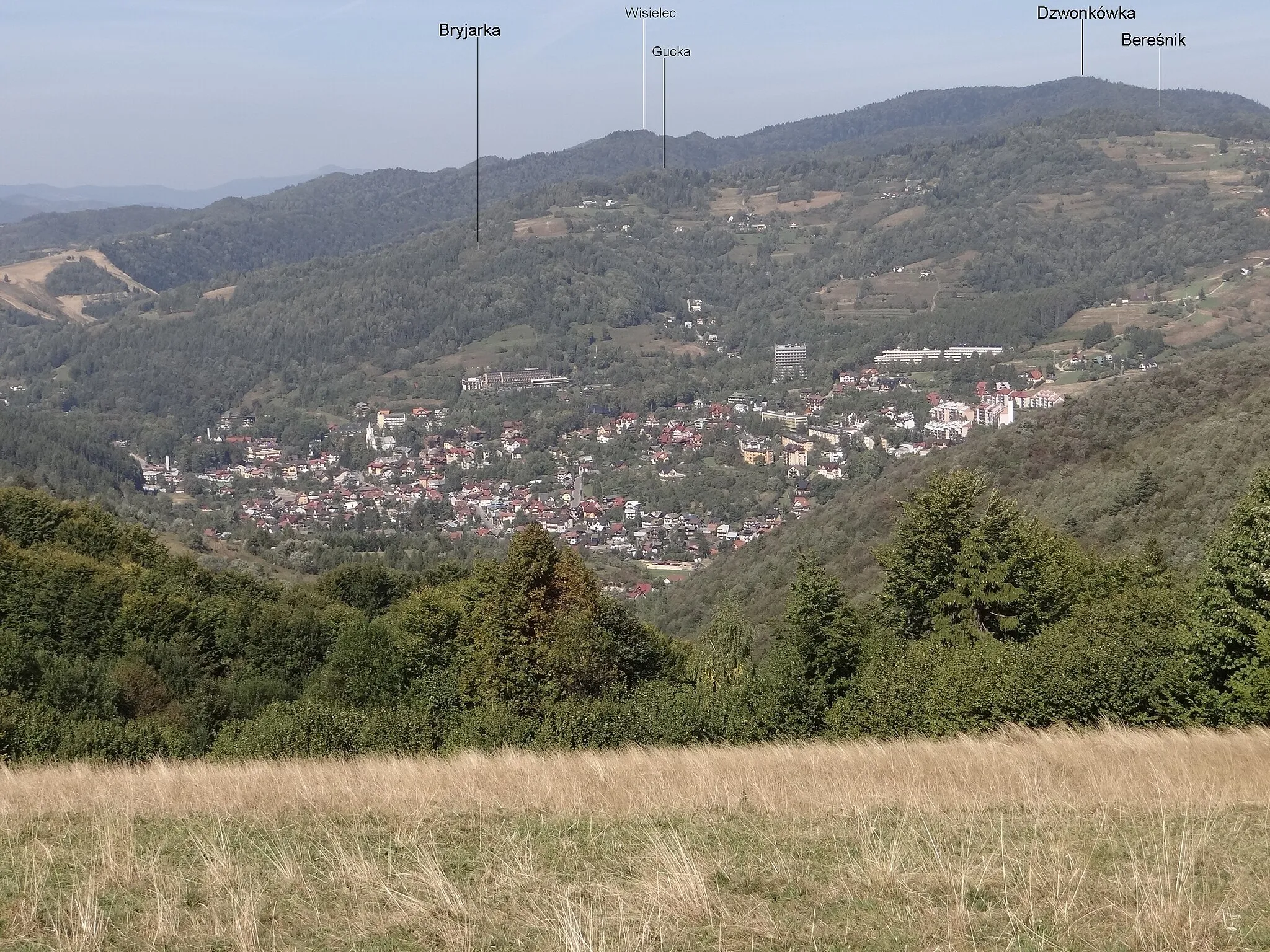 Photo showing: Widok z grzbietu Małych Pienin