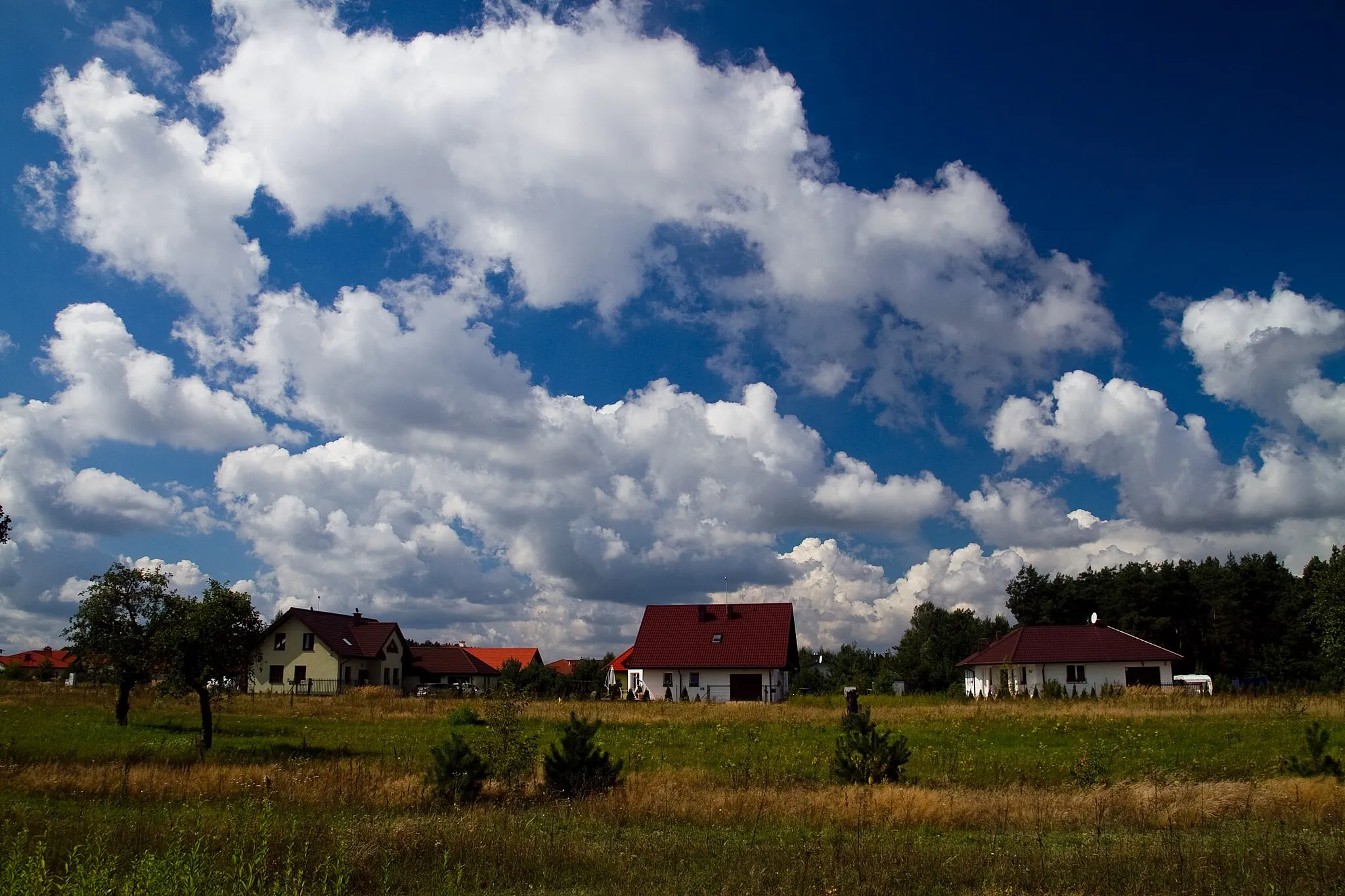Photo showing: Borowa Góra, okolice ul. Lipowej
