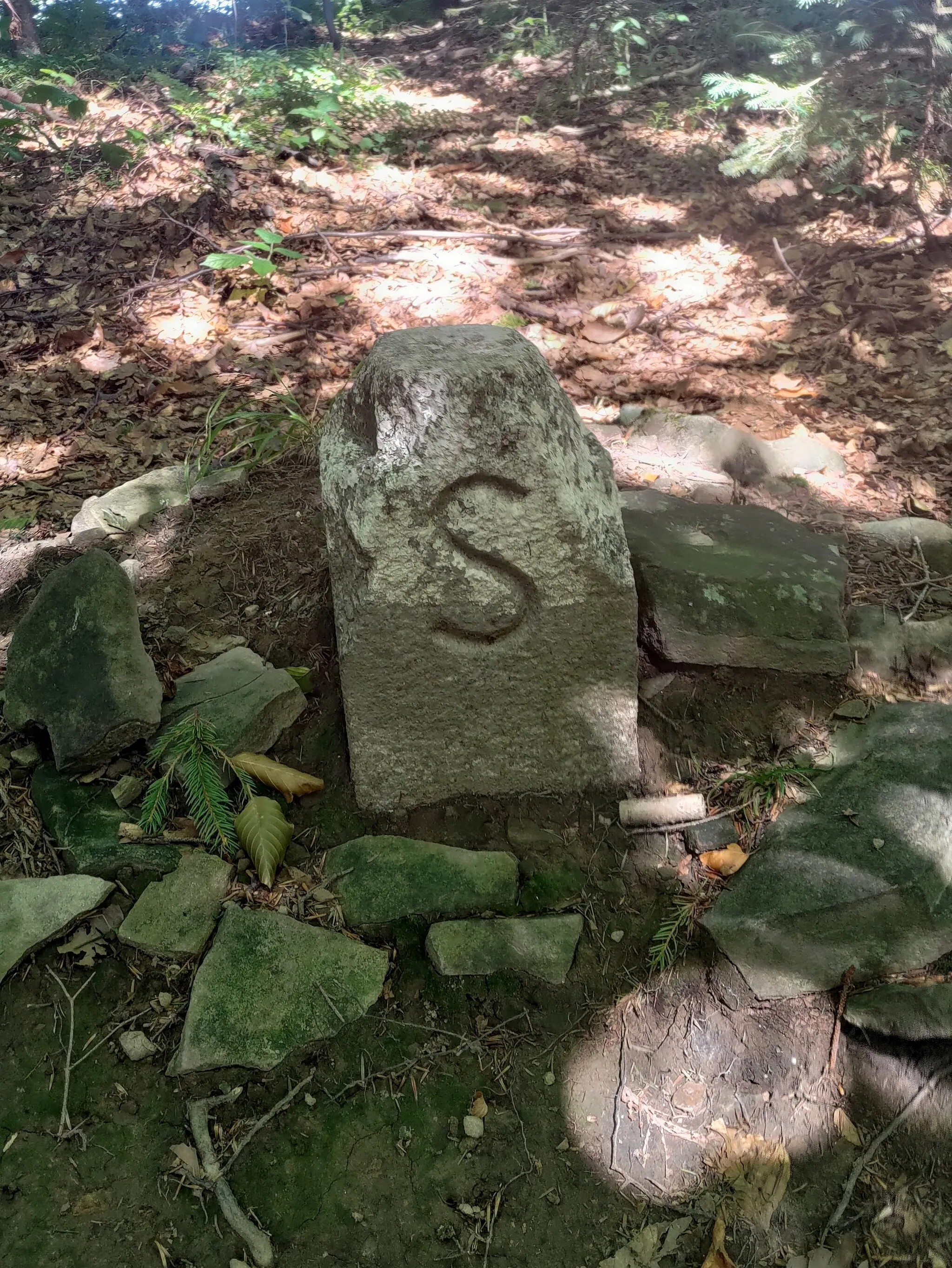 Photo showing: Boundary stone of the former Germany (General Government of the Third Reich) – Slovakia border below the peak Syhlec in the Polica range in the Żywiec Beskids, nowadays Poland.