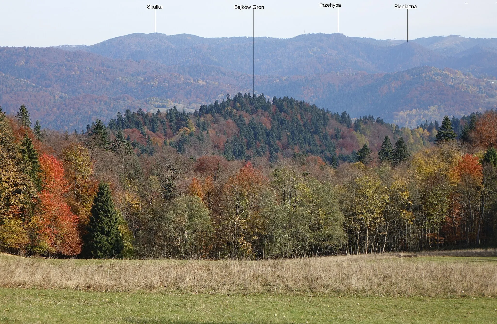 Photo showing: Widok z polany Wydziorki w Pieninach