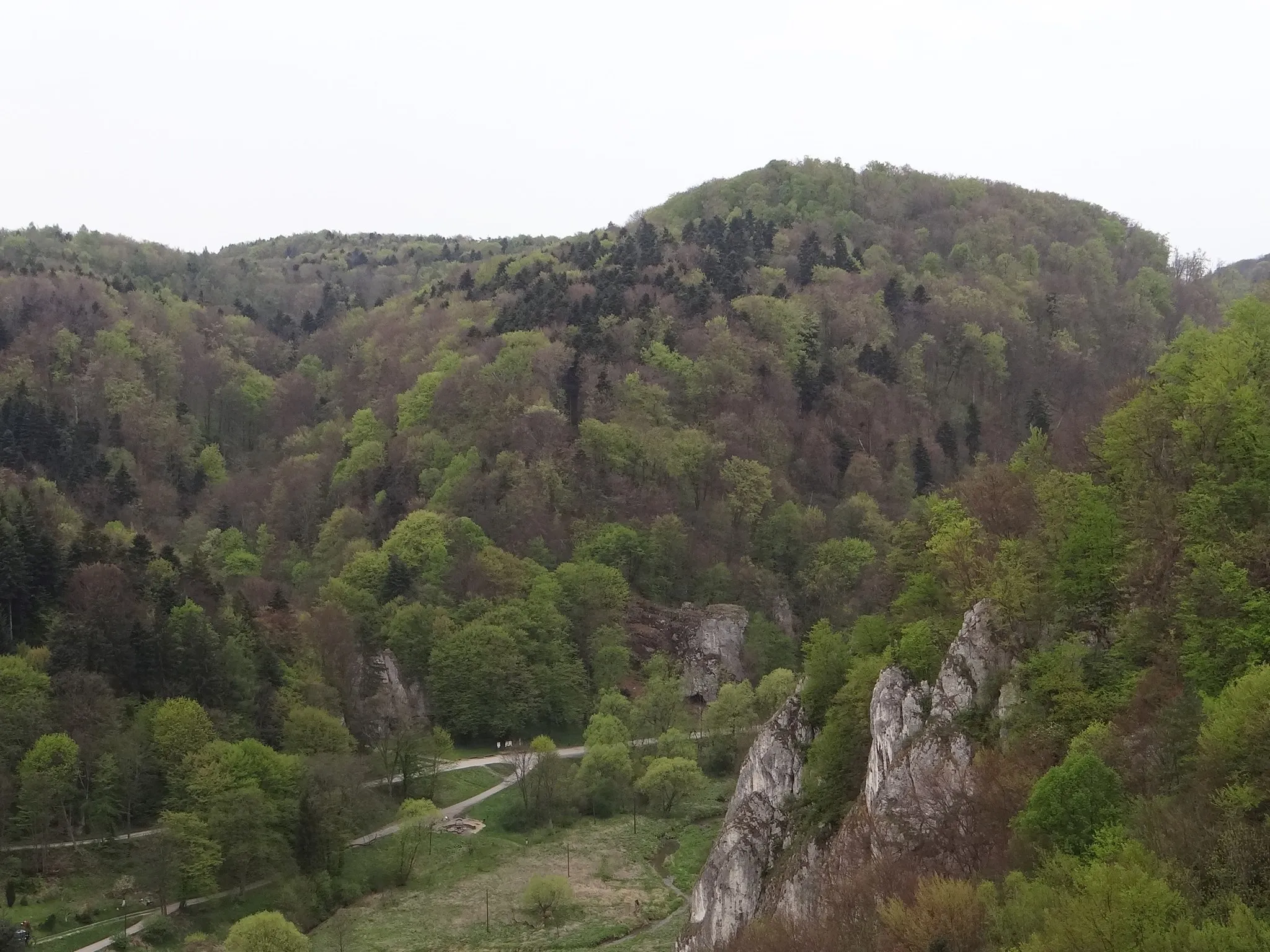 Photo showing: Chełmowa Góra i Dolina Za Bramą Krakowską w Ojcowskim Parku Narodowym. Widok z Góry Koronnej