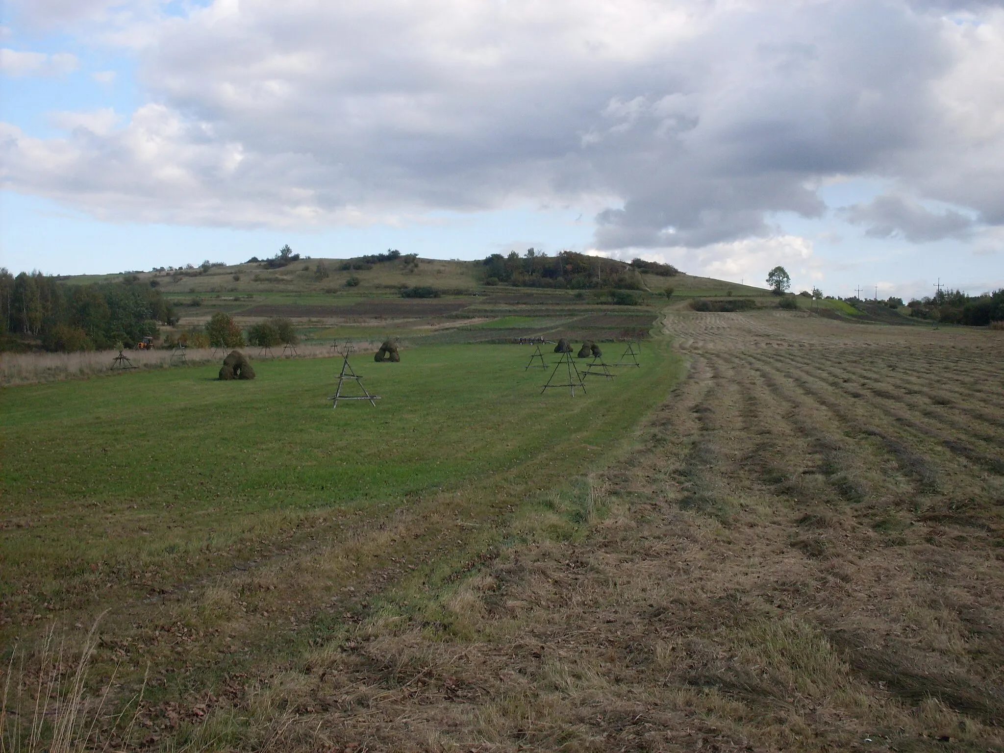 Photo showing: Buca Góra.Zalas