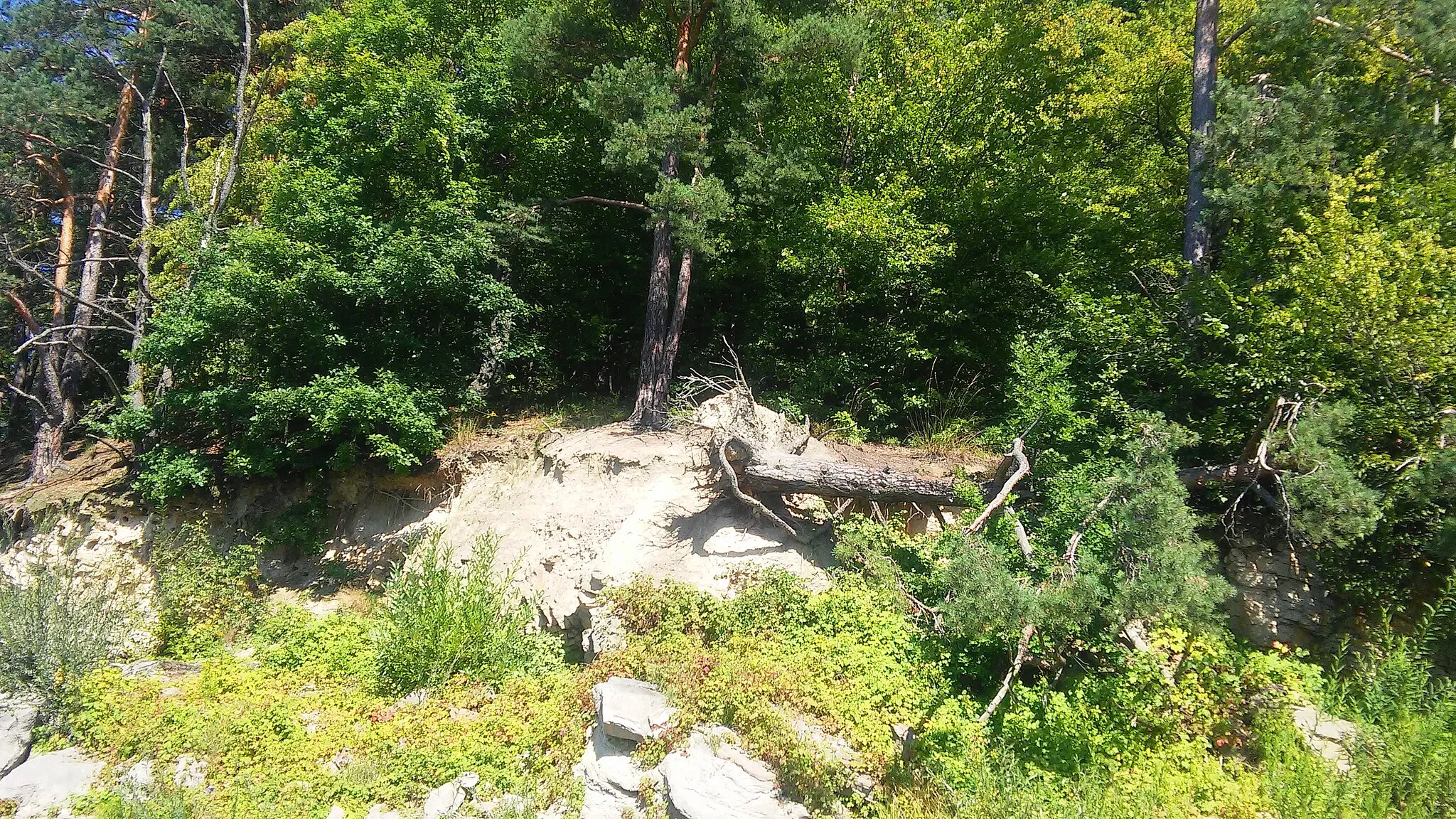 Photo showing: Gmina Gródek nad Dunajcem, Poland