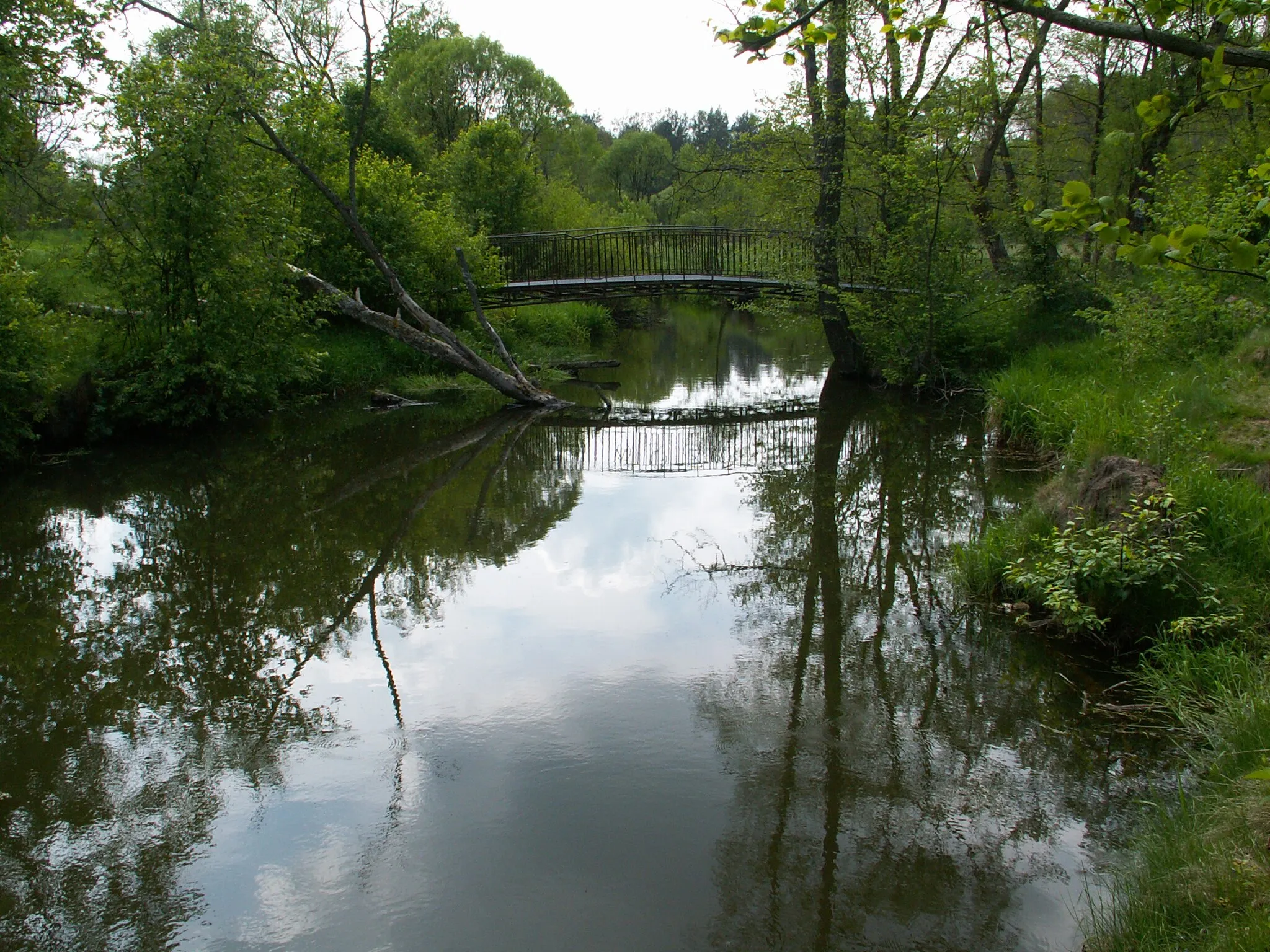 Photo showing: Kamionka river near Suchedniów(Poland)