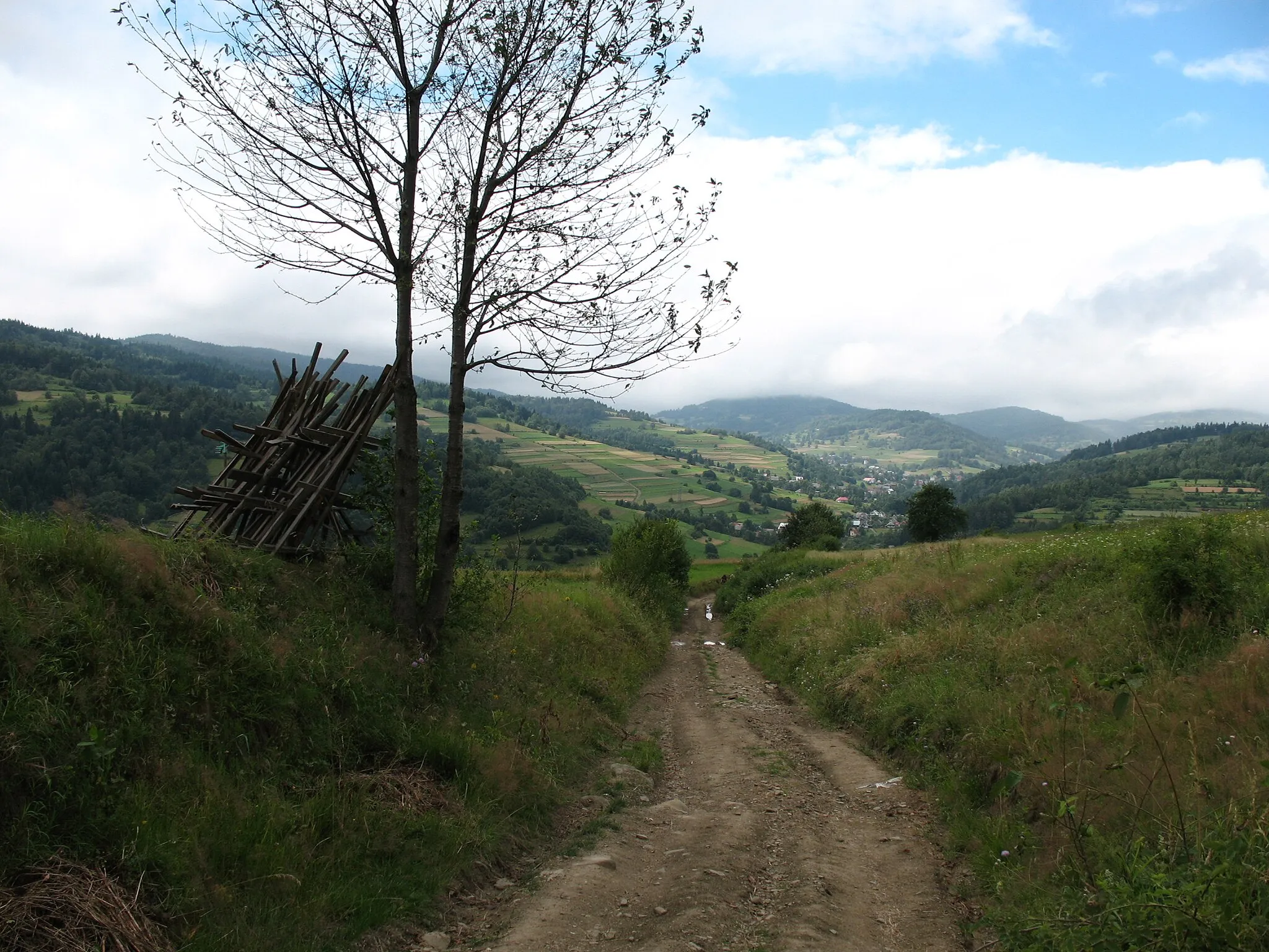 Photo showing: Landscape of the hills above Tokarnia, Małopolska Province, Poland.