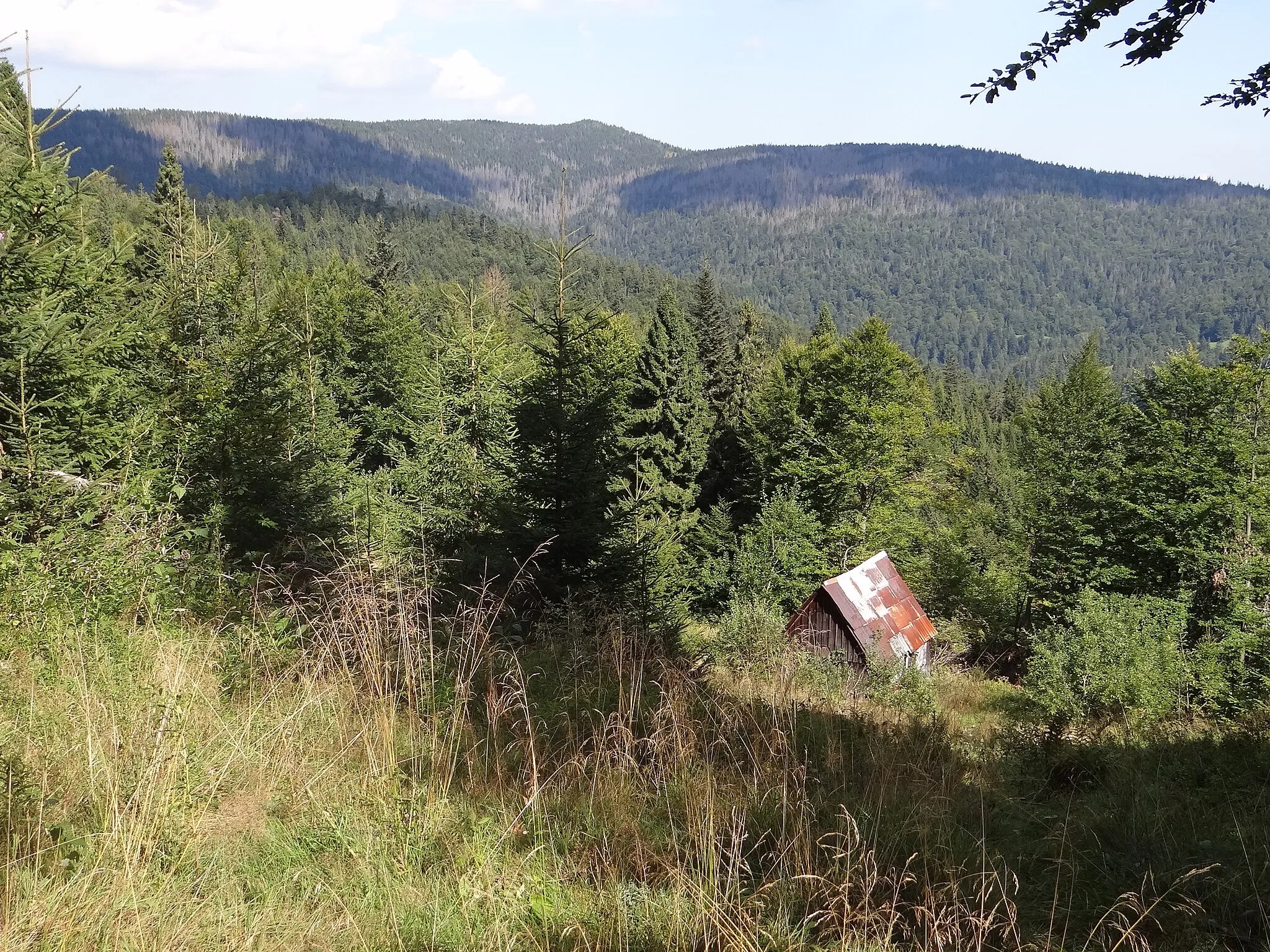 Photo showing: Polana Bukowina Waksmundzka i widok na Kiczorę