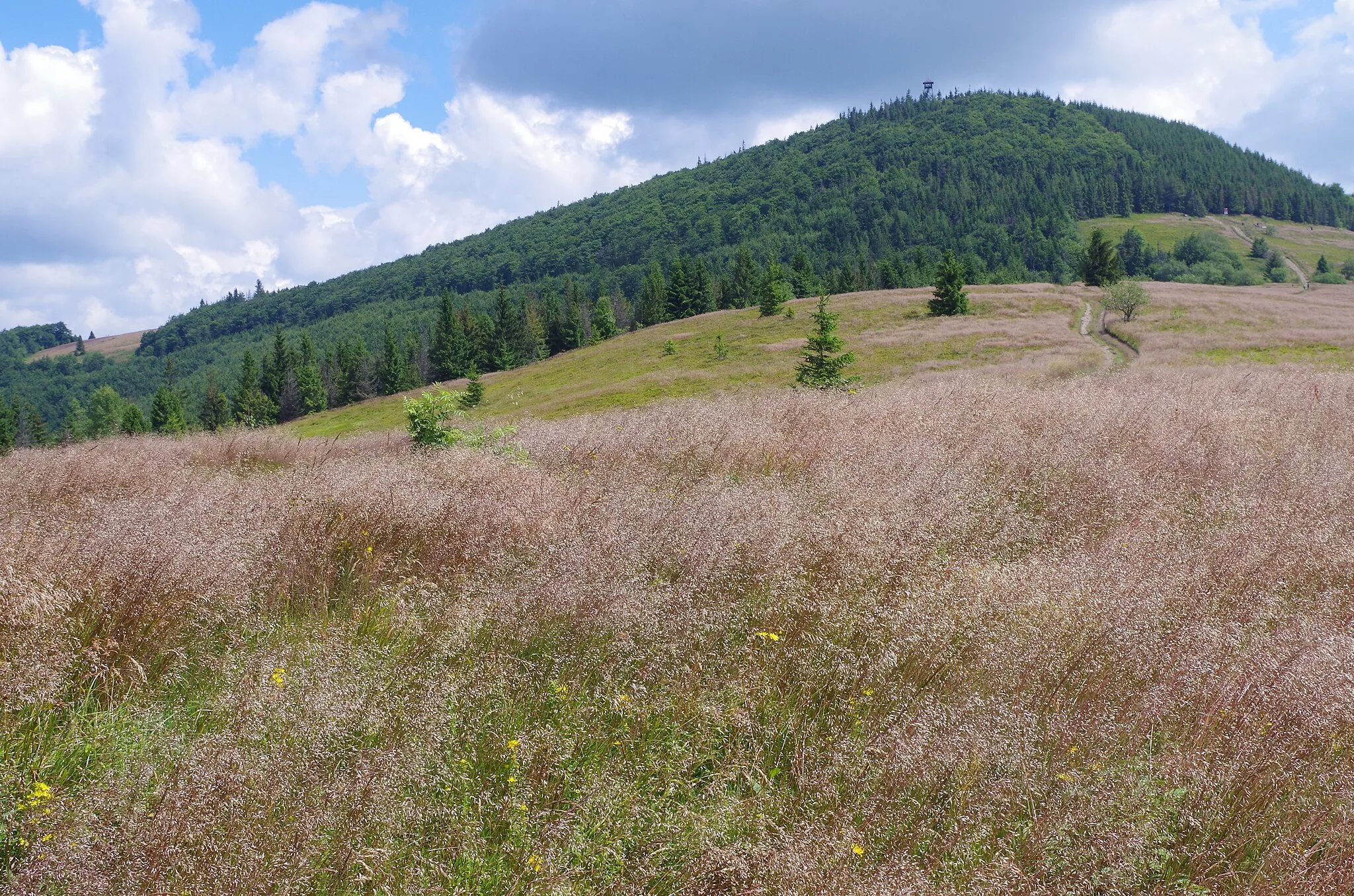 Photo showing: Widok z polany Stumorgi na Mogielicę