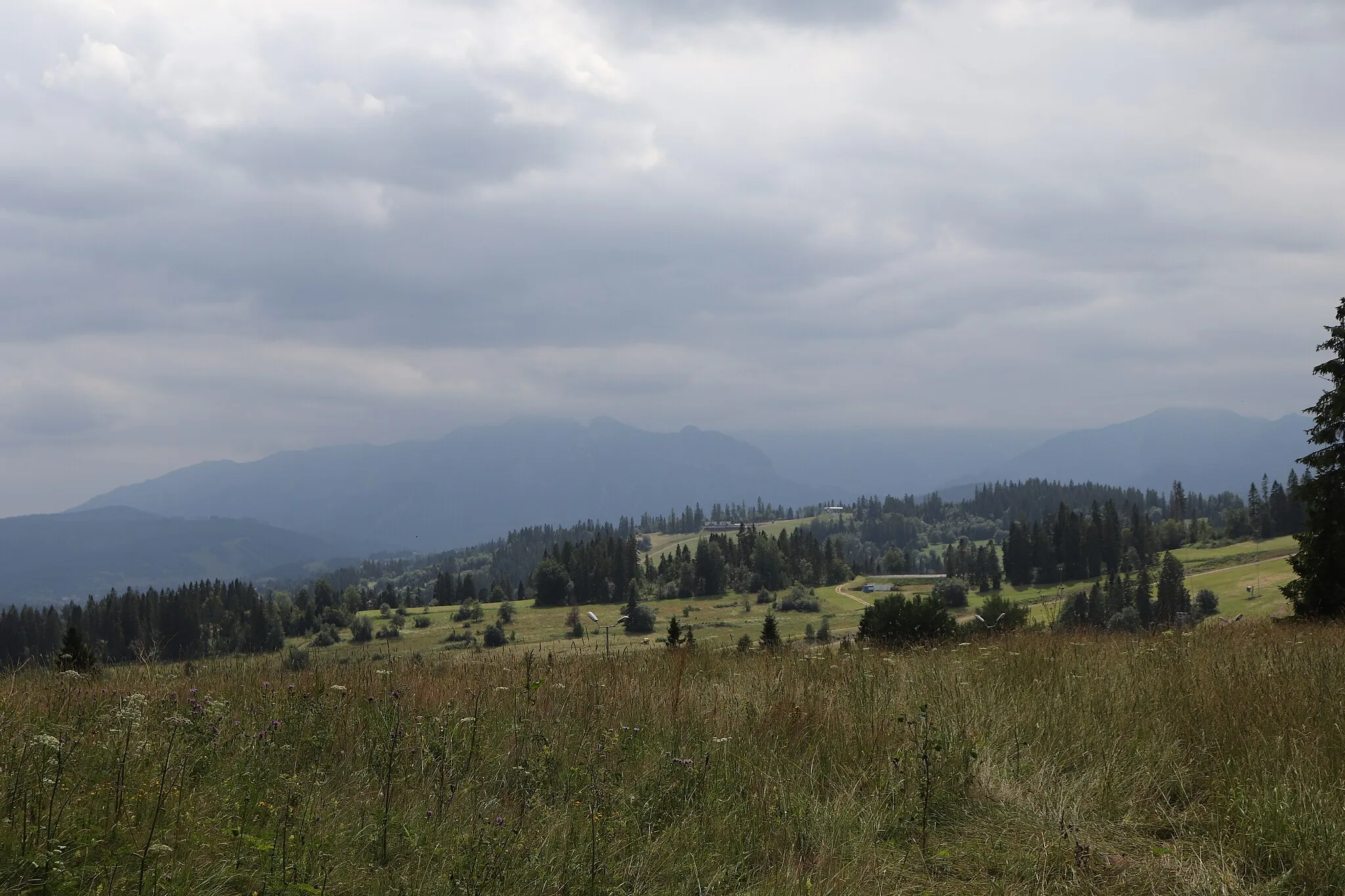 Photo showing: Groń - Jankulakowski Wierch eastern slope