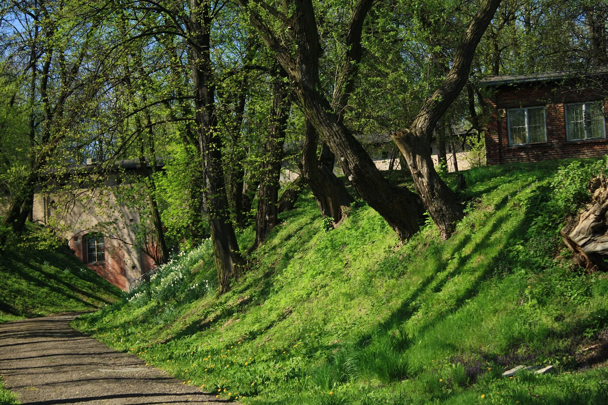 Photo showing: Fort Dłubnia - widok zza ogrodzenia