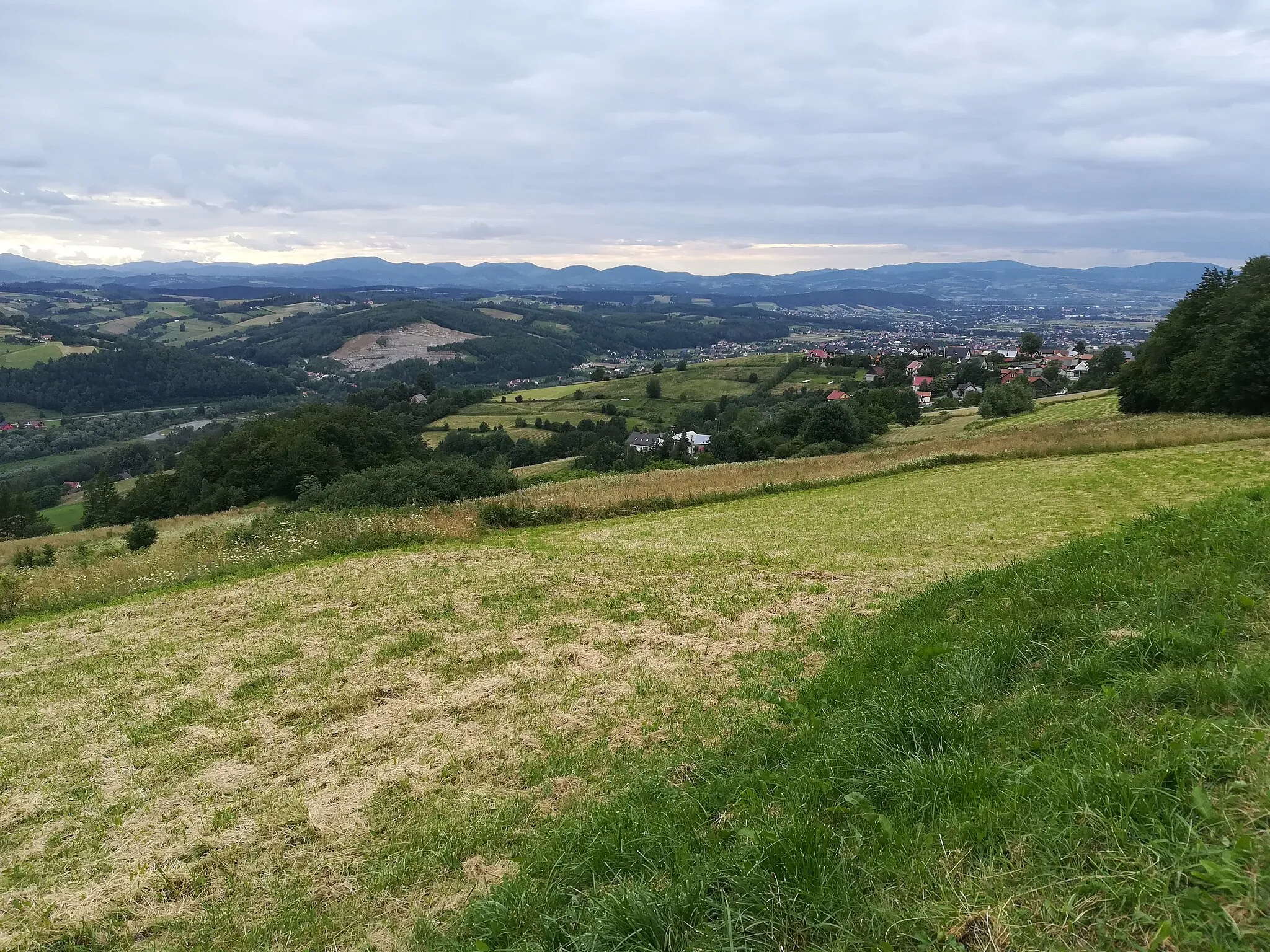 Photo showing: Widok z platformy "Ślimak" w Woli Kroguleckiej (Beskid Sądecki) na południe.