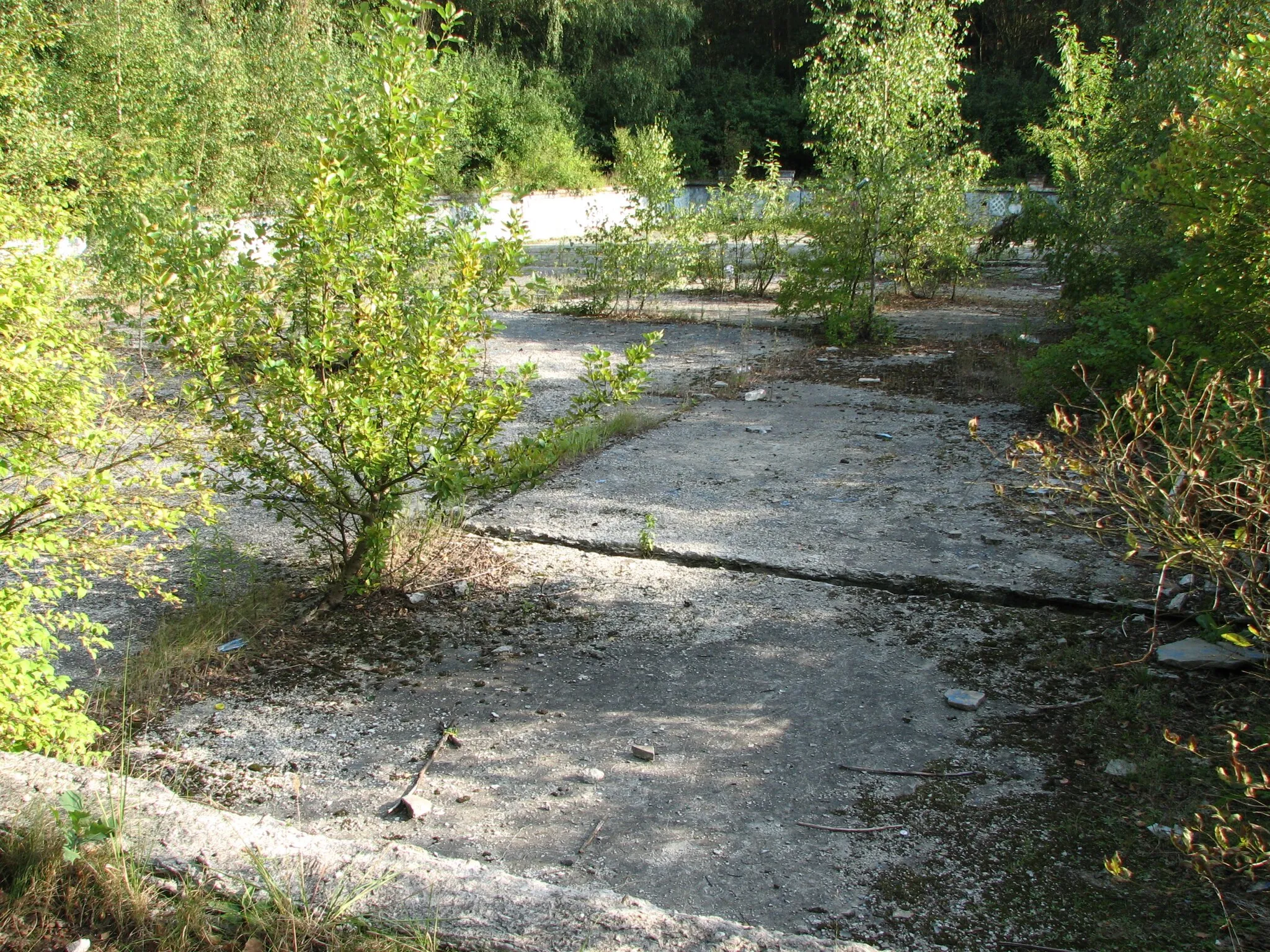 Photo showing: Panewniki's Forests in Katowice, Chorzów, Ruda Śląska, Poland