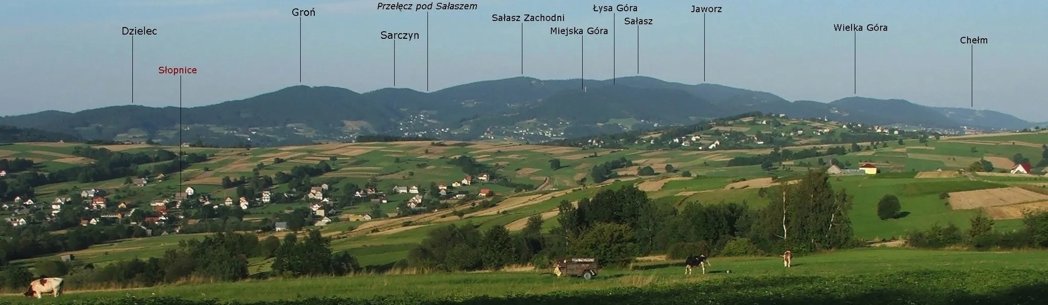 Photo showing: Pasmo Łososińskie, widok ze Słopnic
