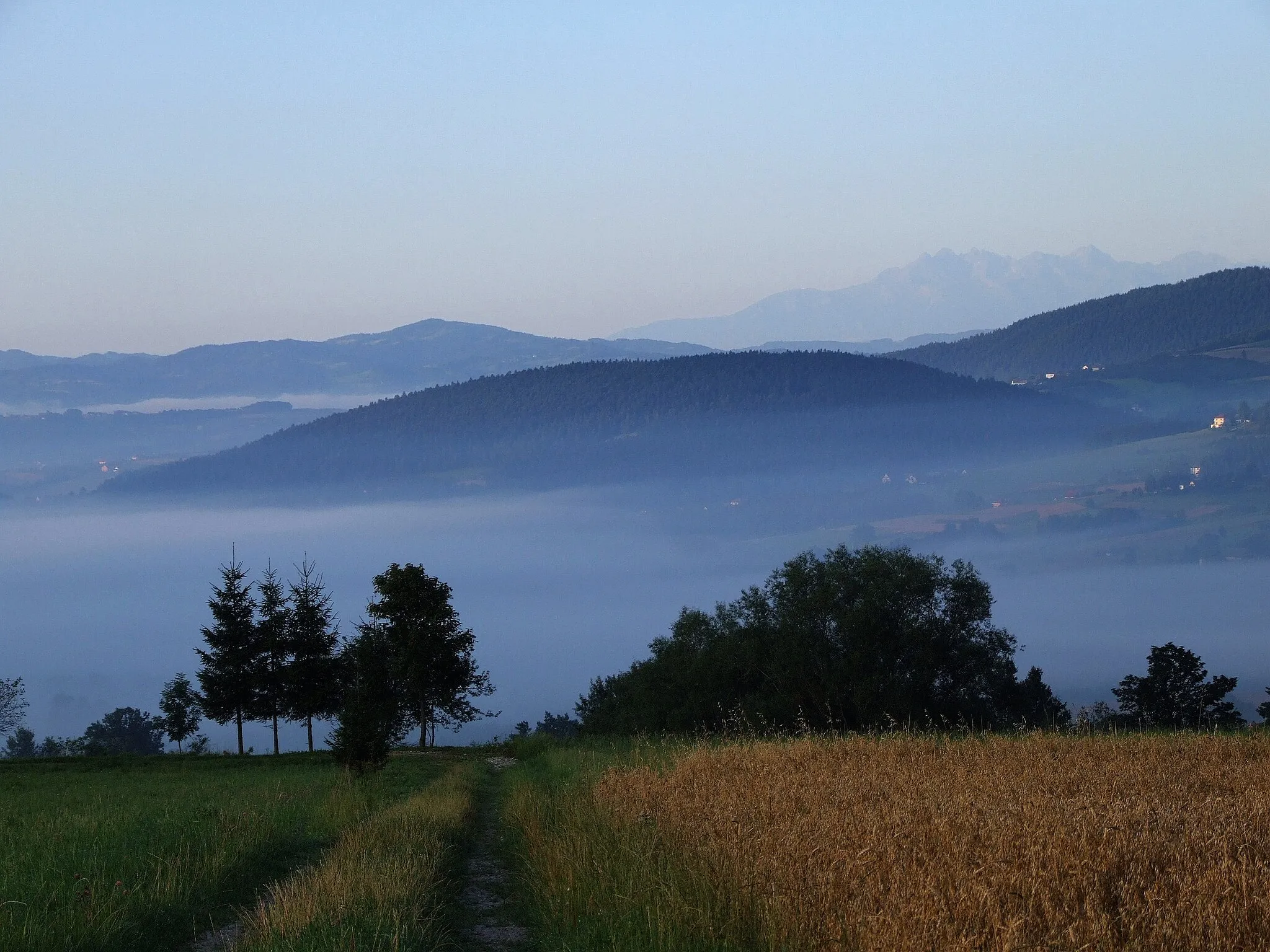 Photo showing: Widok z szosy Kanina-Wysokie. Na pierwszym planie (powyżej mgły) Bąkowiec, po jego prawej stronie Tatry i Skiełek