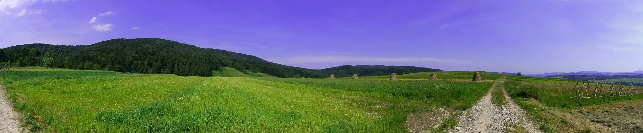 Photo showing: Okolice Iwkowej. Widok spod Bukowca