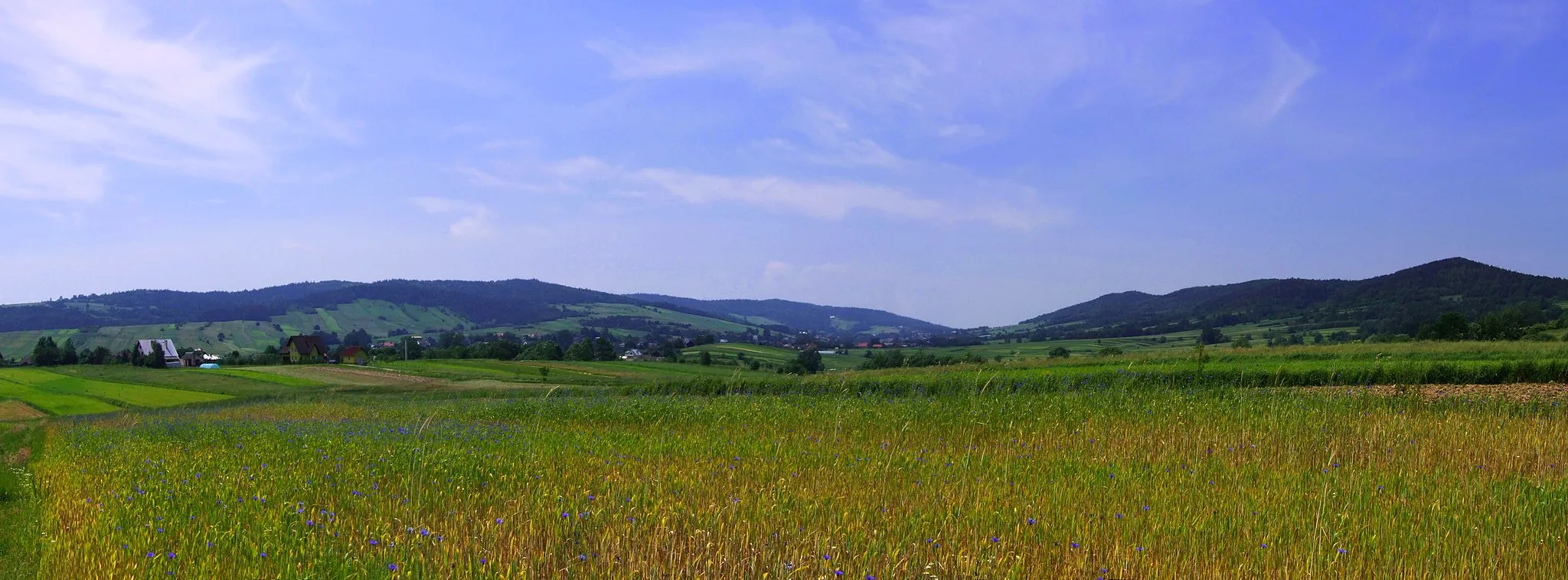 Photo showing: Pogórze Wiśnickie. Widok spod Bukowca w Iwkowej. od lewej strony: Sołtysie Kopy, Rogozowa, Piekarska Góra i Szpilowka