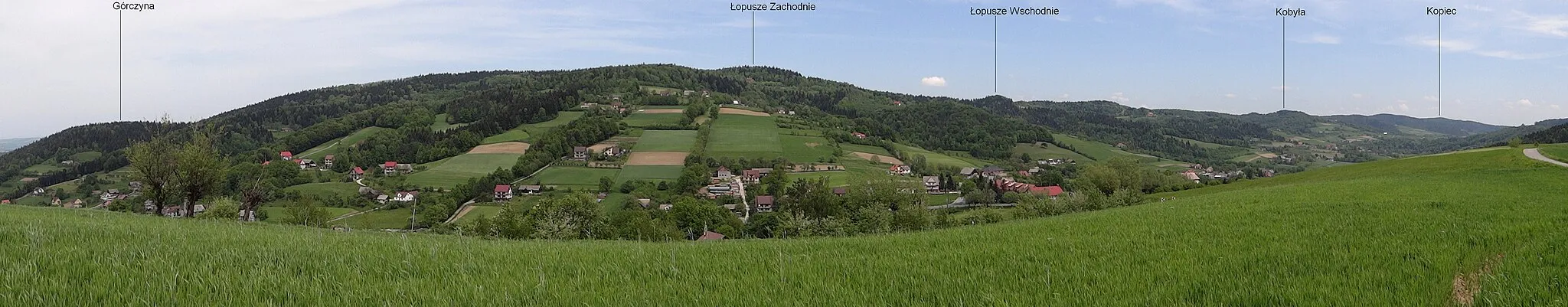 Photo showing: Panorama widokowa z przełęczy Widoma