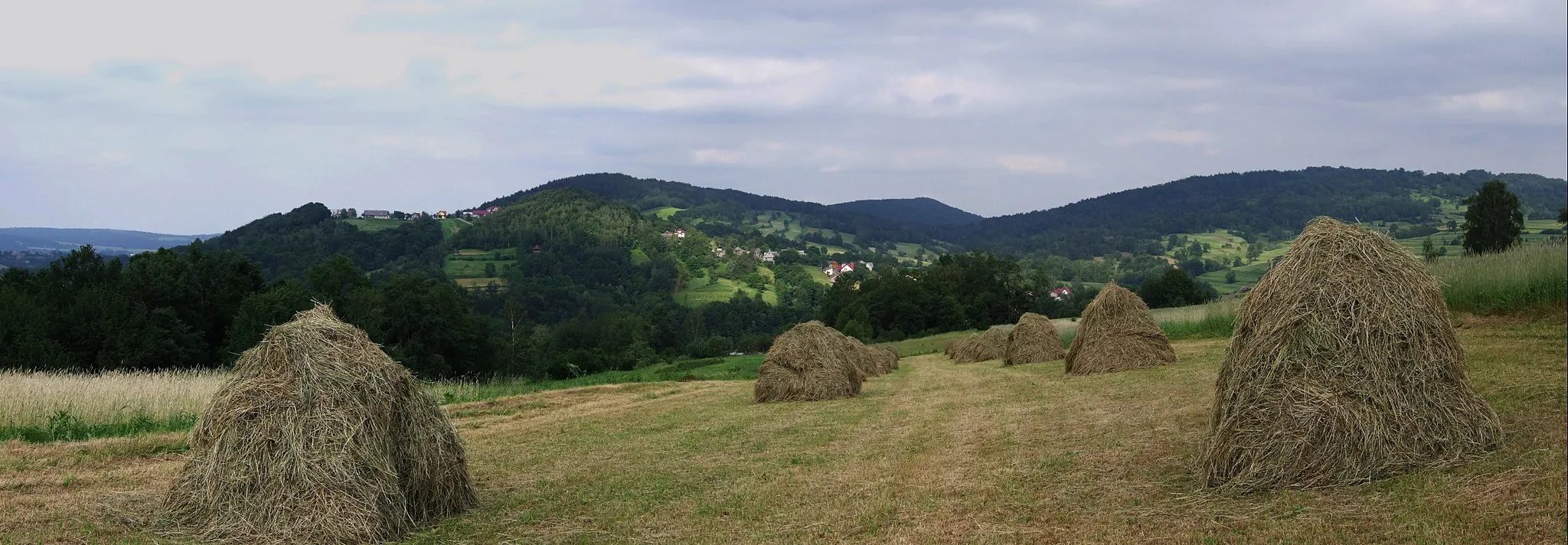 Photo showing: Widok z szosy Rajbrot-Muchówka przez Paprotną na Pasmo Szpilówki. W kierunku od lewej widoczne są: Dominiczna Gora, Piekarska Góra, Rogozowa