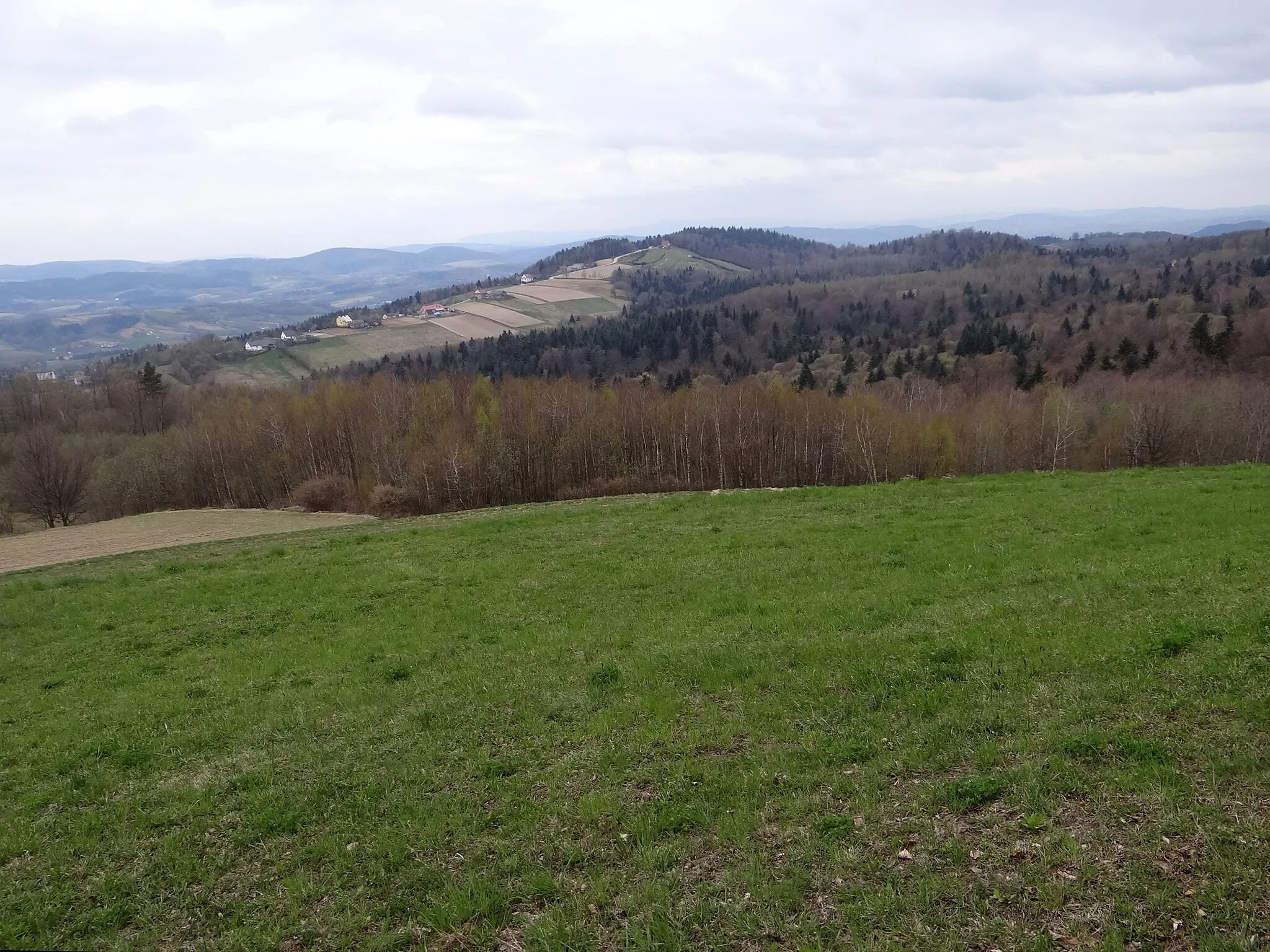 Photo showing: Widok z grzbietu Wał na Wielkie Góry