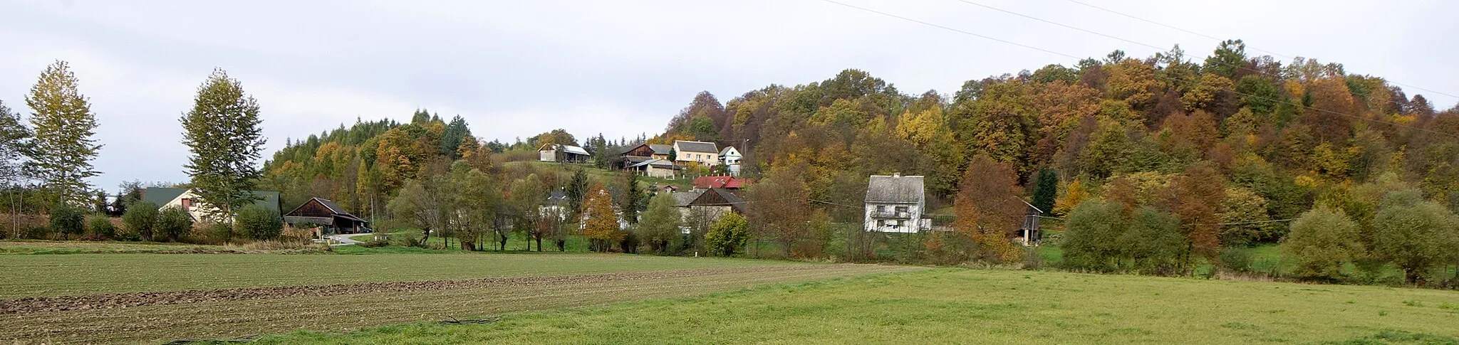Photo showing: Wieruszyce, fragment wsi ze wzgórzem Zamek