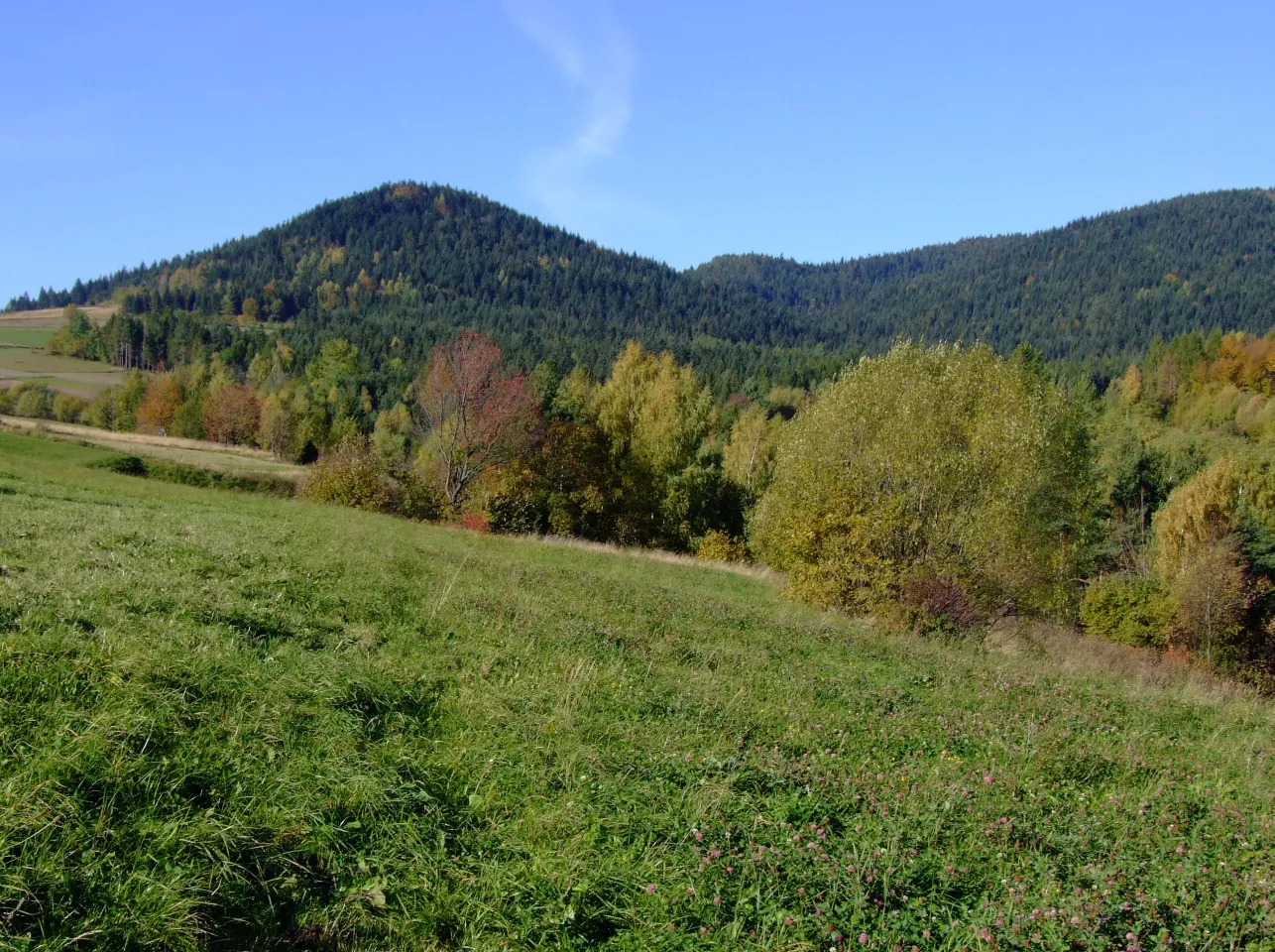 Photo showing: Mały Ćwilinek (Beskid Wyspowy)