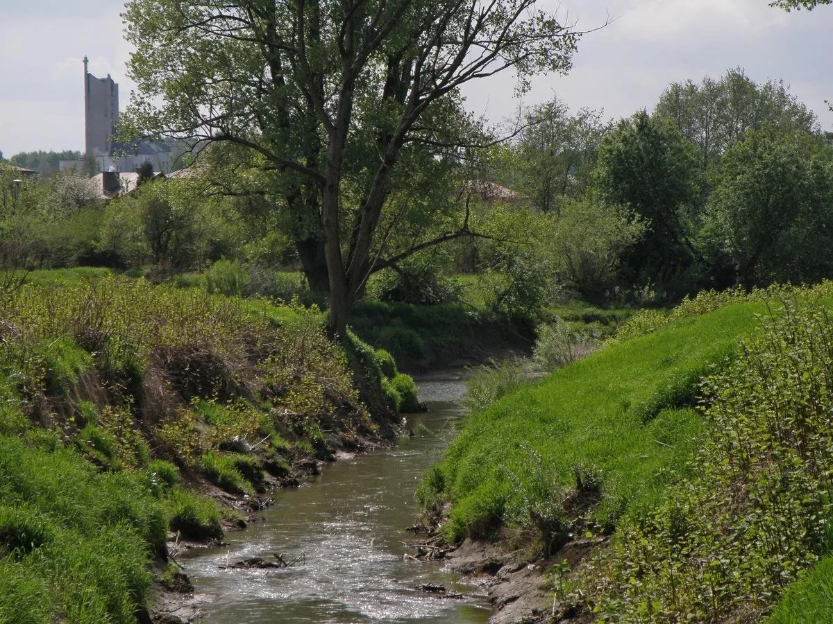 Photo showing: Ujście potoku Wątok do rzeki Białej w Tarnowie. W tle z lewej strony widoczny jest kościół w Koszycach Wielkich.