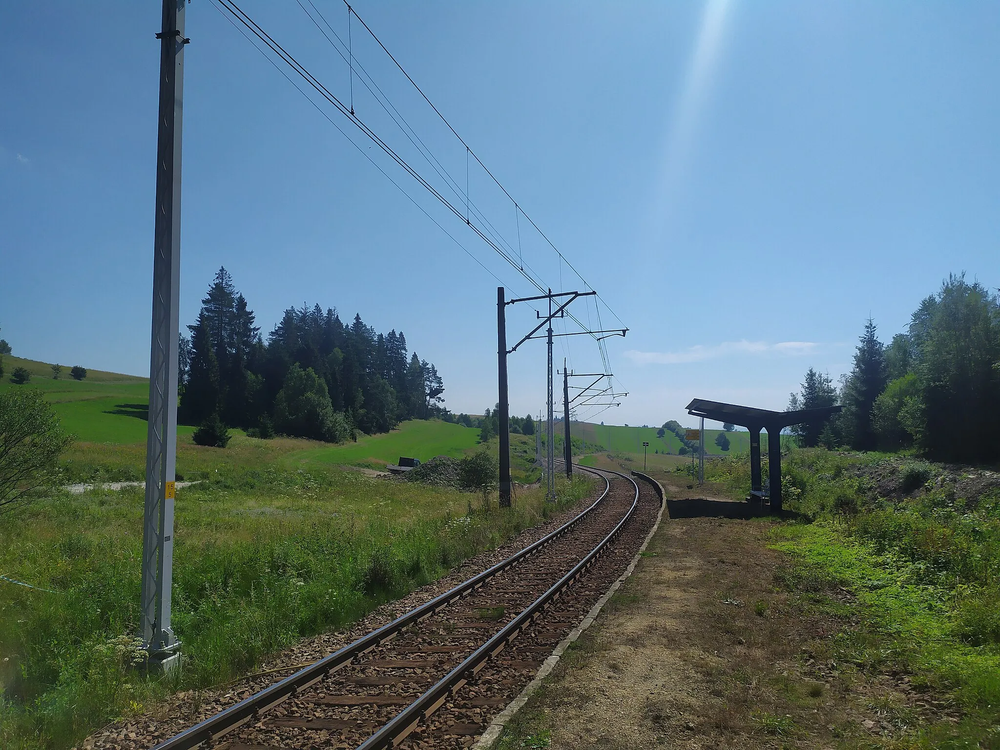Photo showing: Przystanek kolejowy Pyzówka w 2020 roku - widok w kierunku Zakopanego