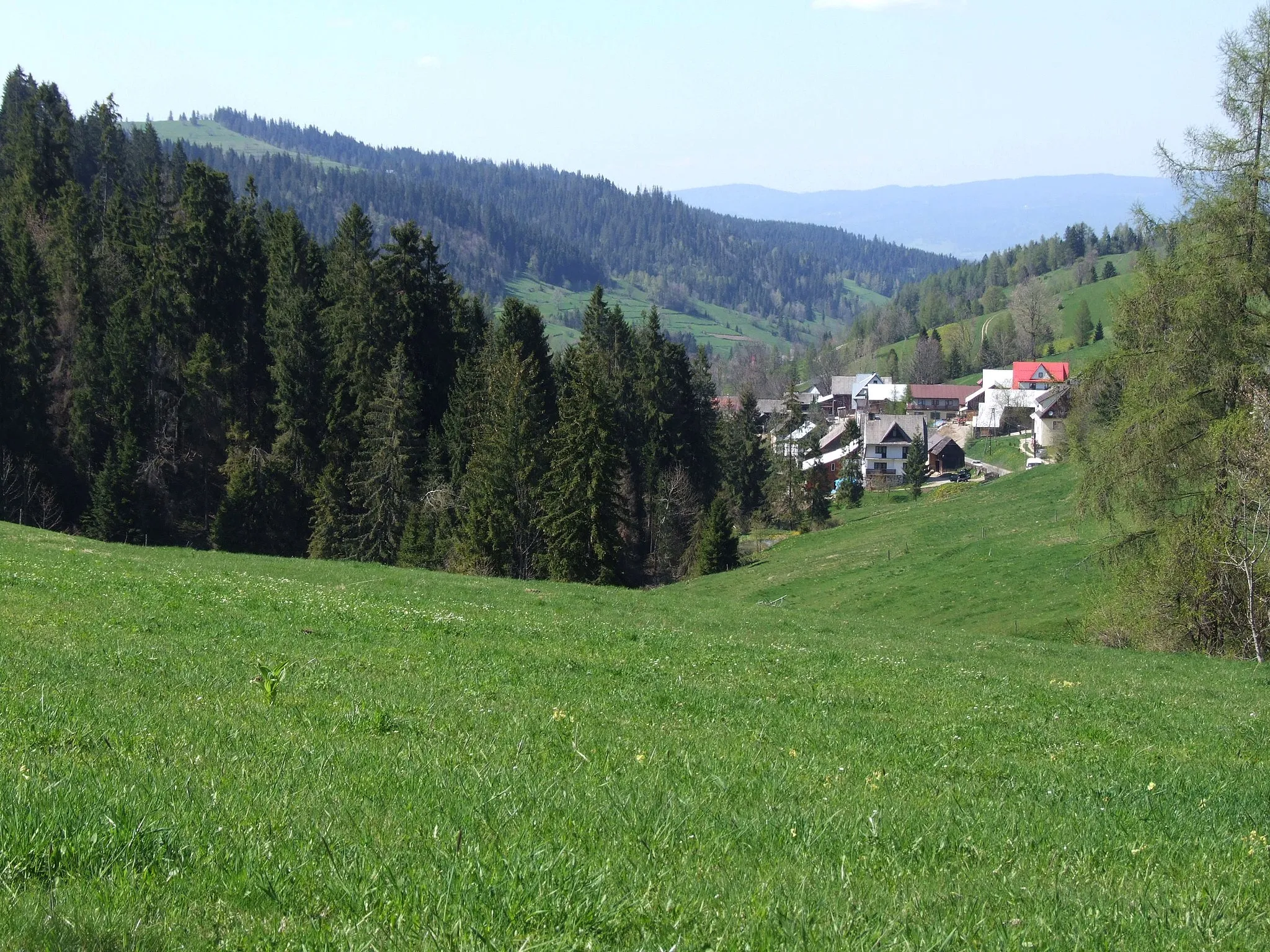 Photo showing: Widok z okolic Przełęczy nad Łapszanką. na dilinę potoku Łapszanka i miejscowość Łapszanka. Po lewej stronie u góry Pawlików Wierch