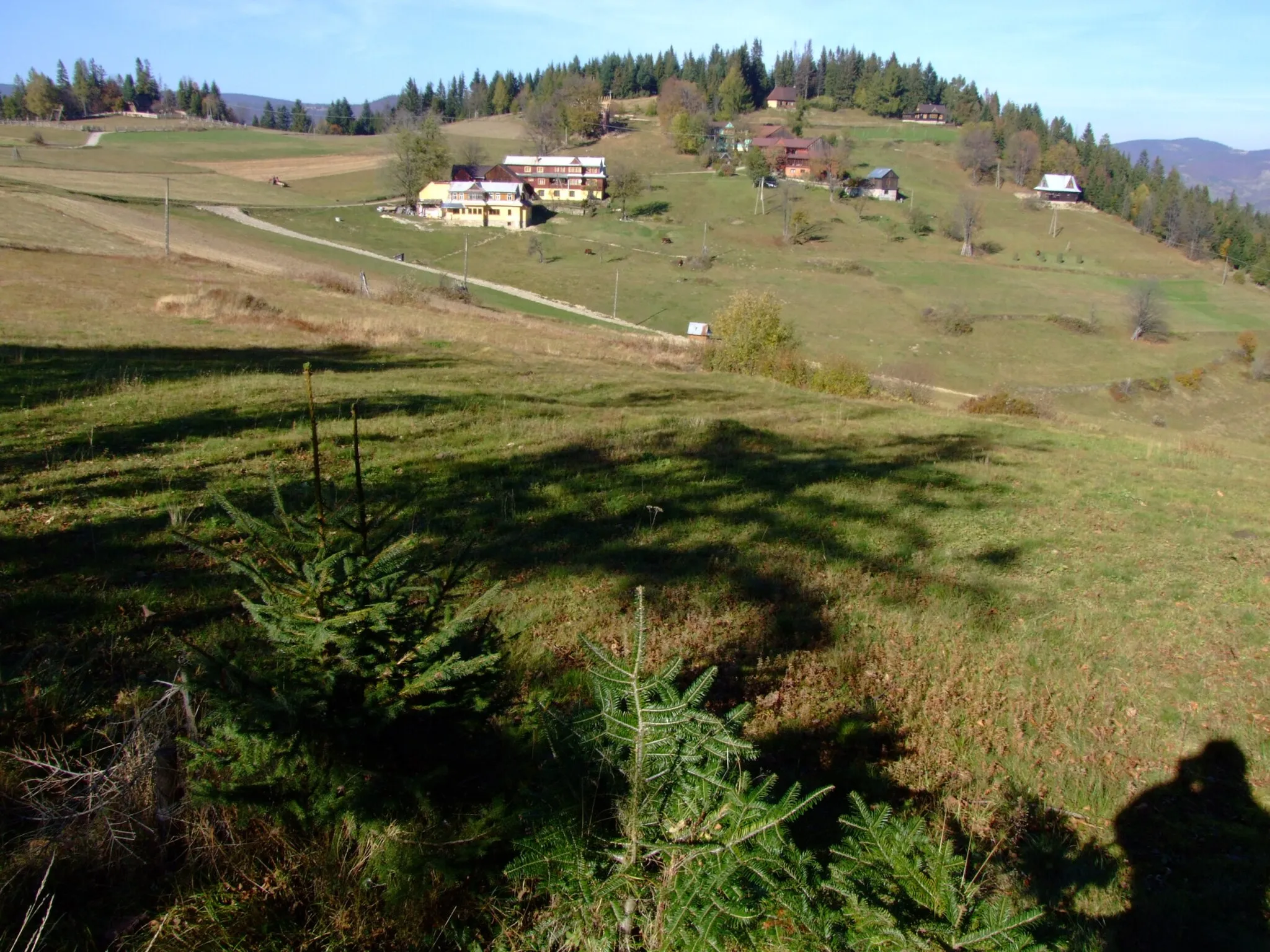 Photo showing: Studzionki (pasmo Lubania w Gorcach)