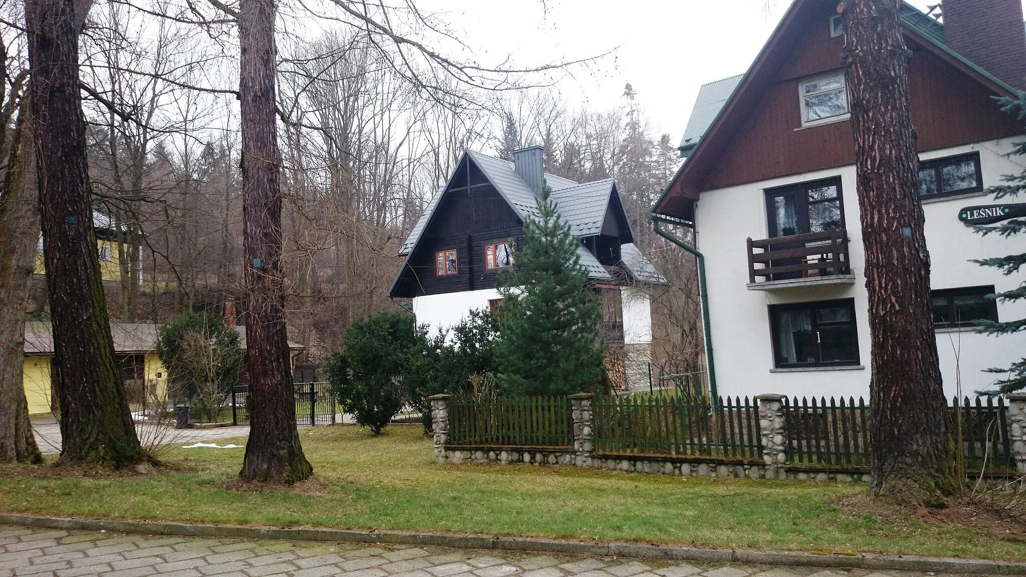 Photo showing: Pnie trzech modrzewi będących pomnikami przyrody (widoczne plakietki na pniach) w siedzibie nadleśnictwa w Krościenku