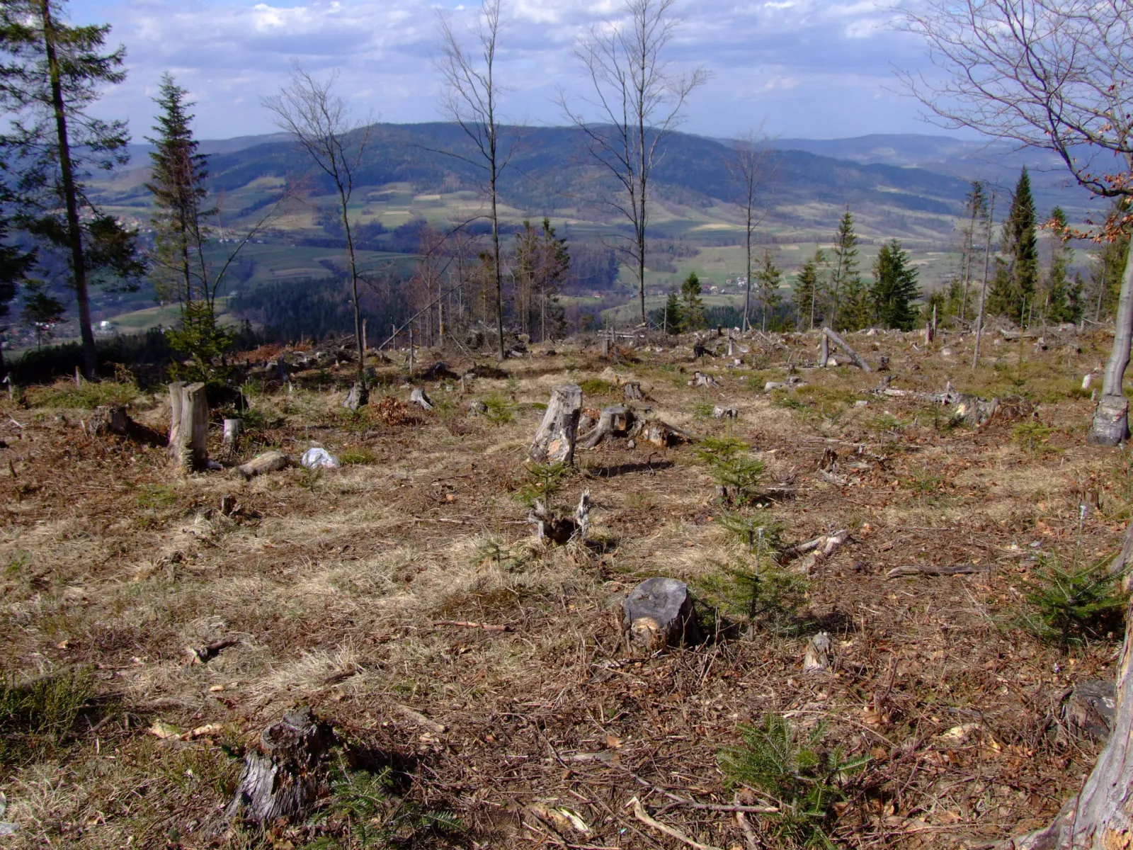 Photo showing: Widok z Lubonia Małego na Zembalową