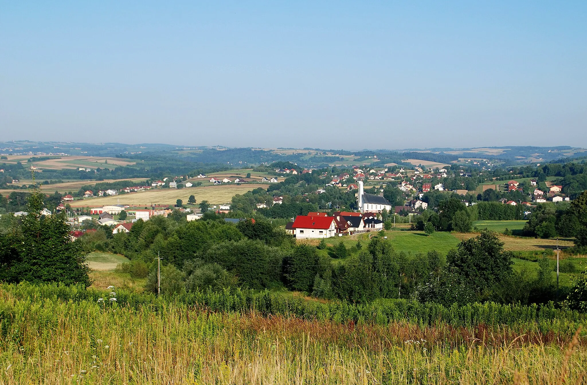 Photo showing: wieś Skołyszyn