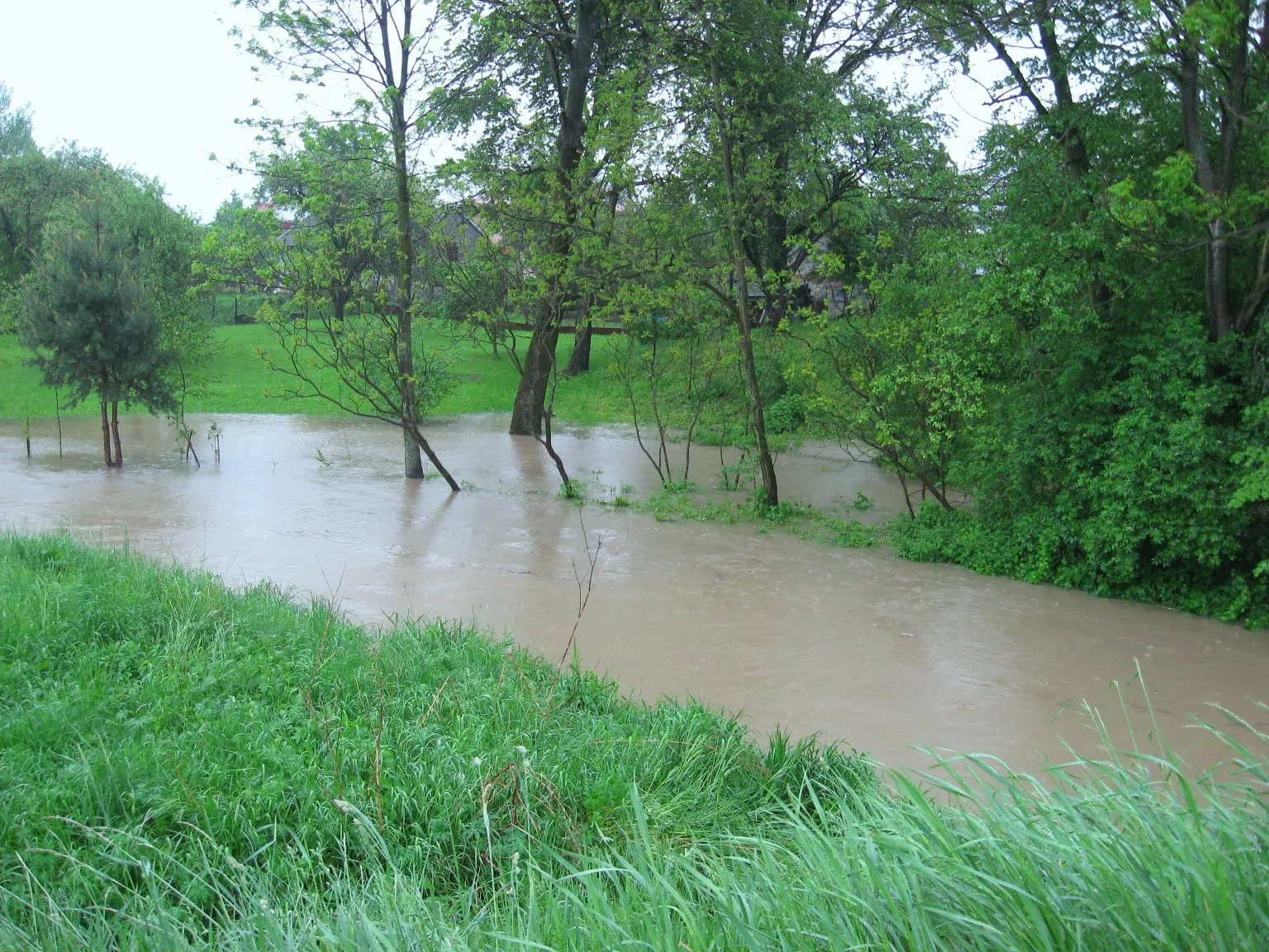 Photo showing: Stan wody podniesionej na Czarnym Potoku ok 1km od ujścia