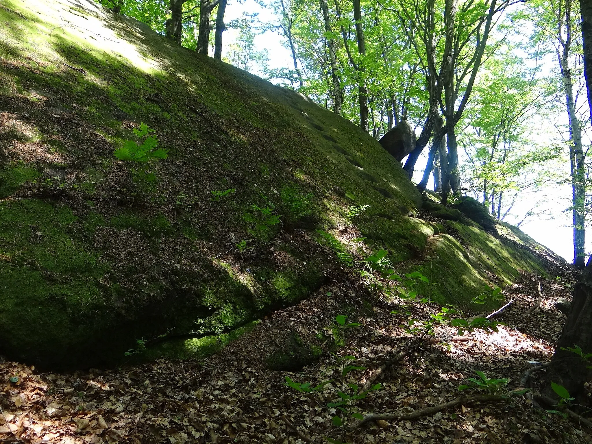 Photo showing: Ostry Kamień na grzbiecie Góry Pasiej w Paśmie Brzanki na Pogórzu Ciężkowickim