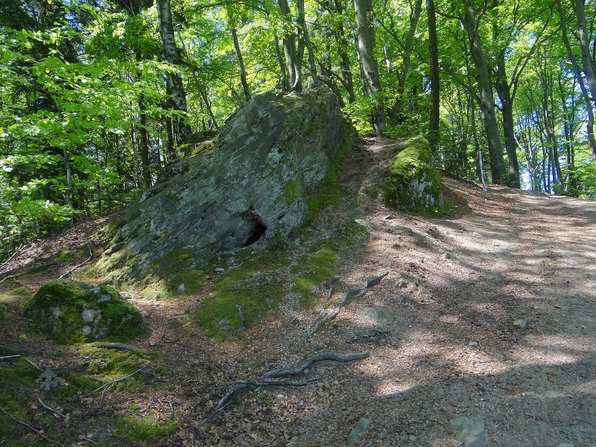 Photo showing: Ostry Kamień na grzbiecie Góry Pasiej w Paśmie Brzanki na Pogórzu Ciężkowickim