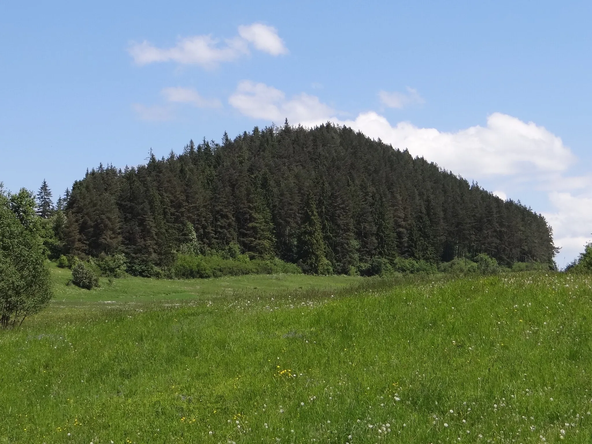 Photo showing: Wzgórze Ranisberg, widok od południowego zachodu