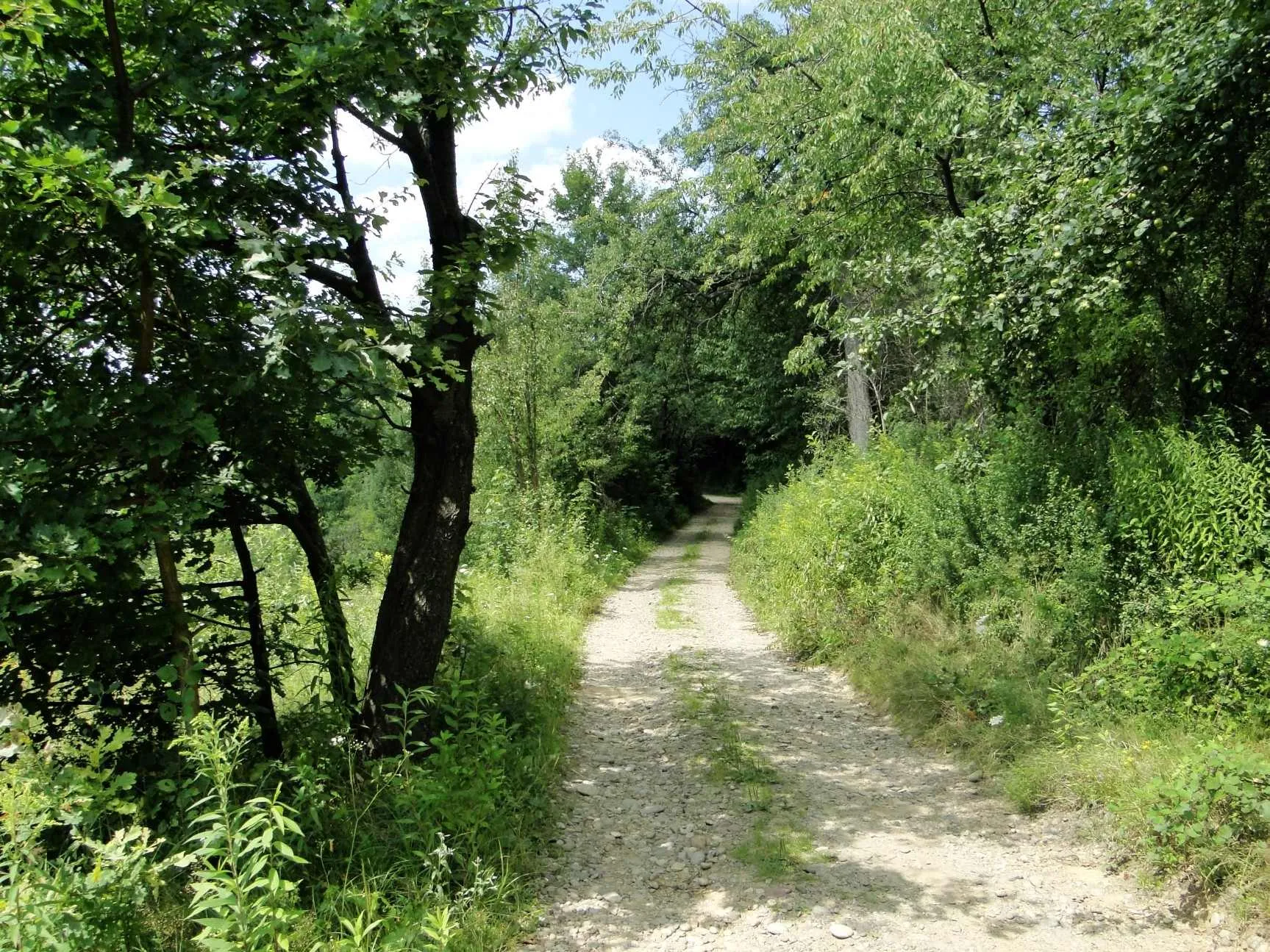 Photo showing: Green trail of Ciężkowice-Rożnów Landscape Park.
Section between Piaski-Drużków and Ruda Kameralna.

Piaski Drużków, Poland.