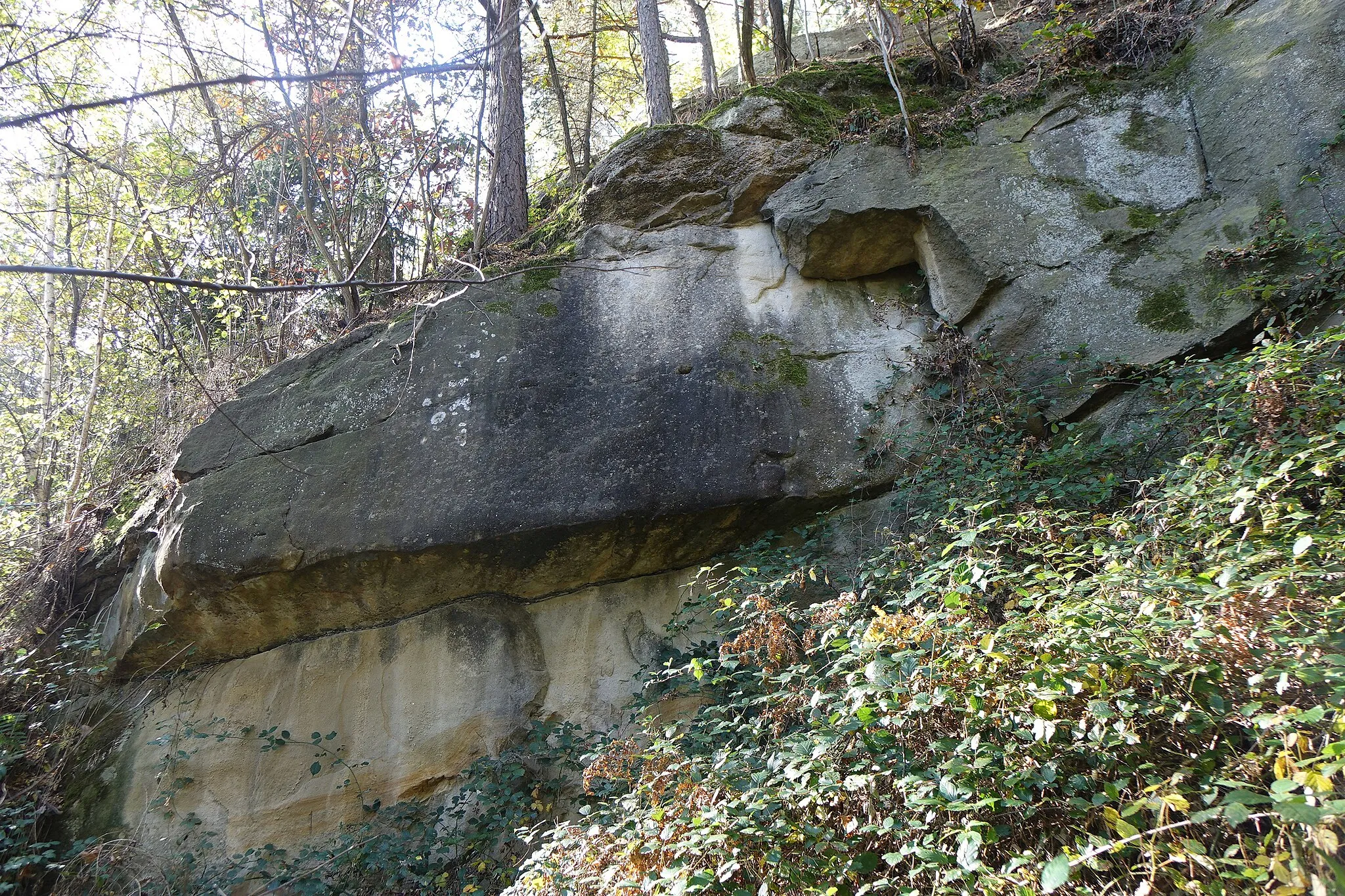 Photo showing: Skała Ruchliwa w Borzętach koło Myślenic