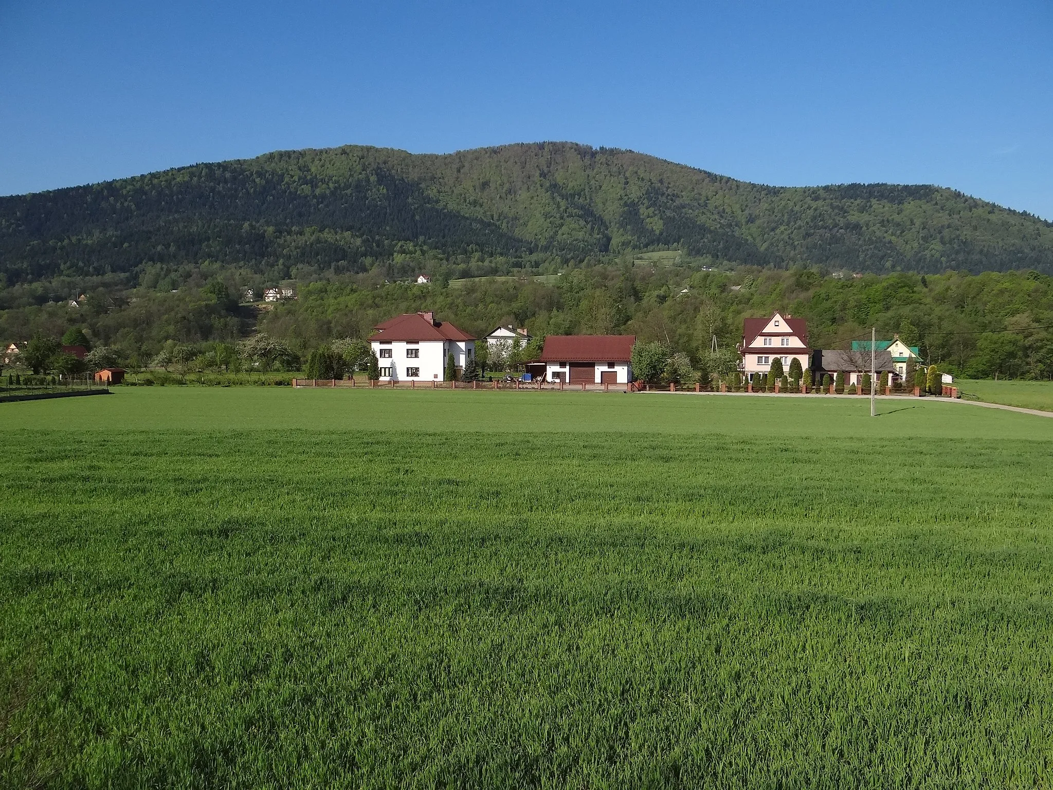 Photo showing: Kasinka Mała i widok na Szczebel